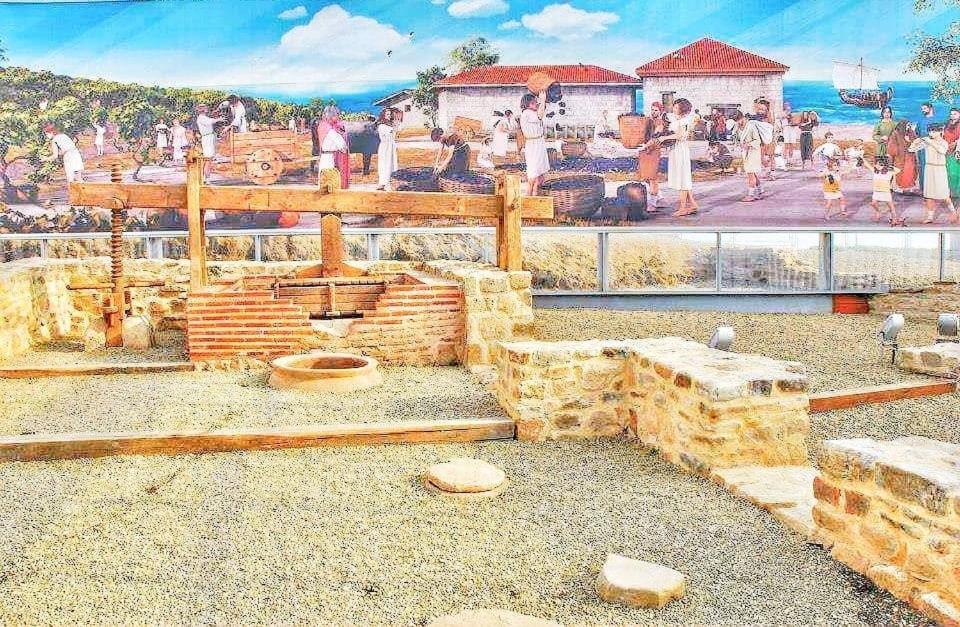 Guest House Dimi