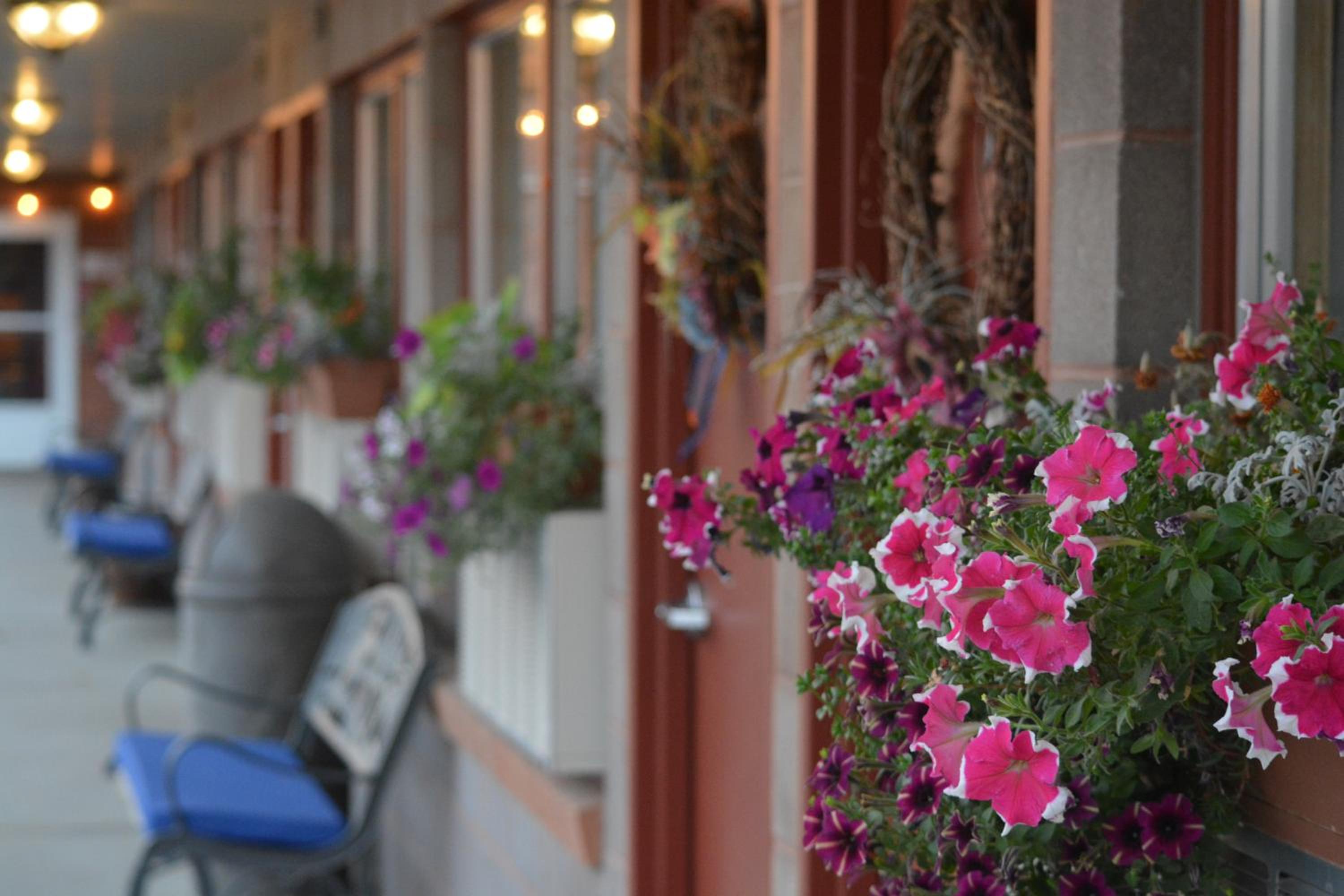 Lariat Motel