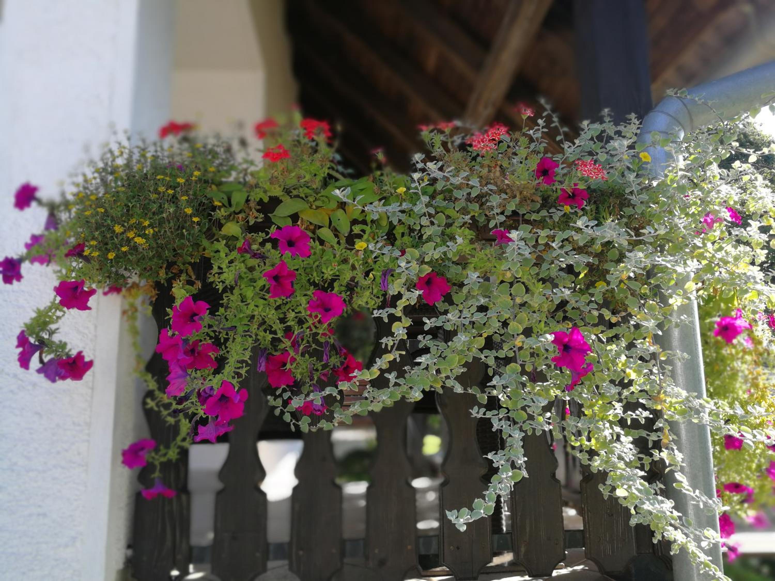 Guest House Štefanija