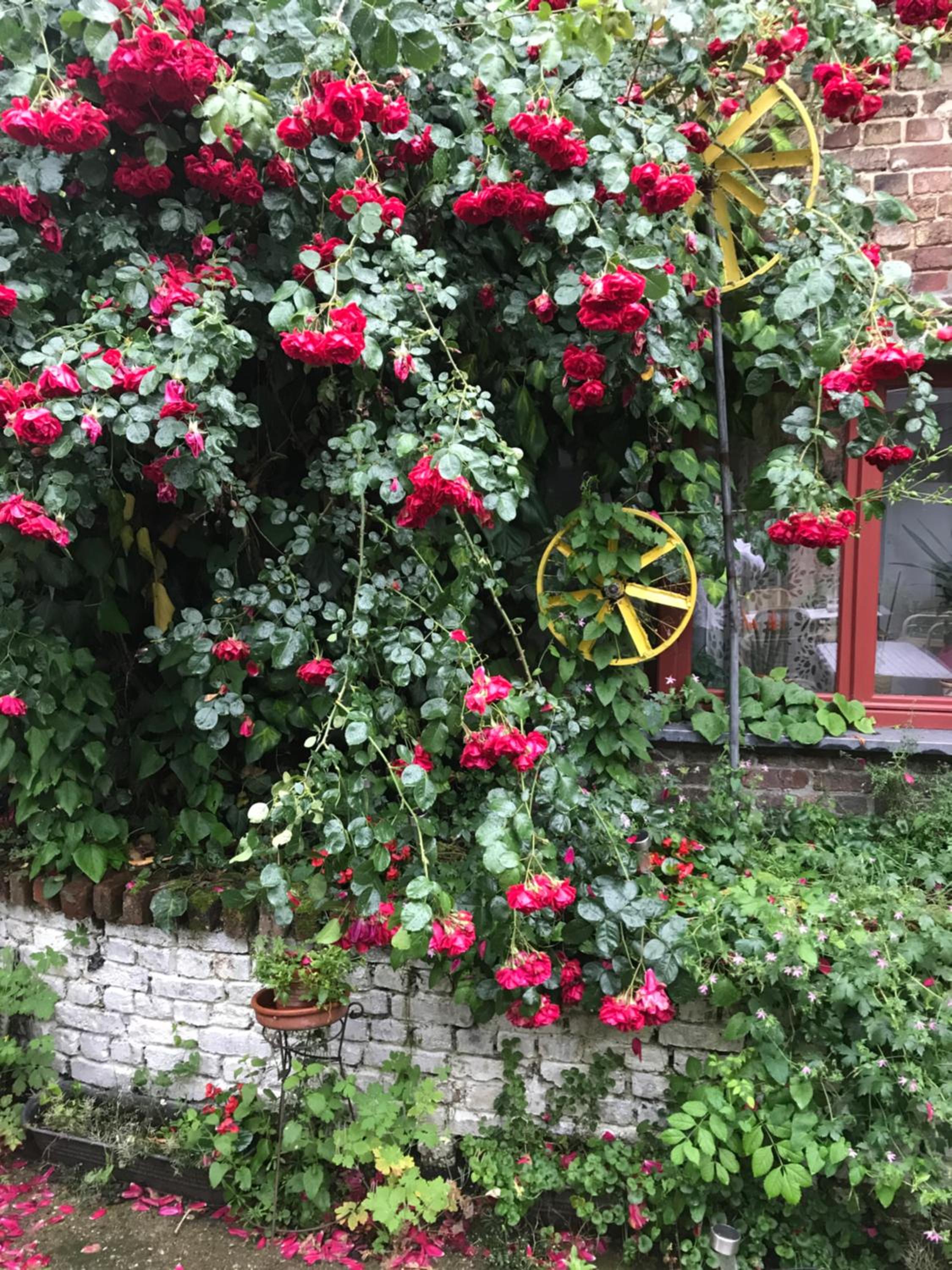 B&B De Henehoeve