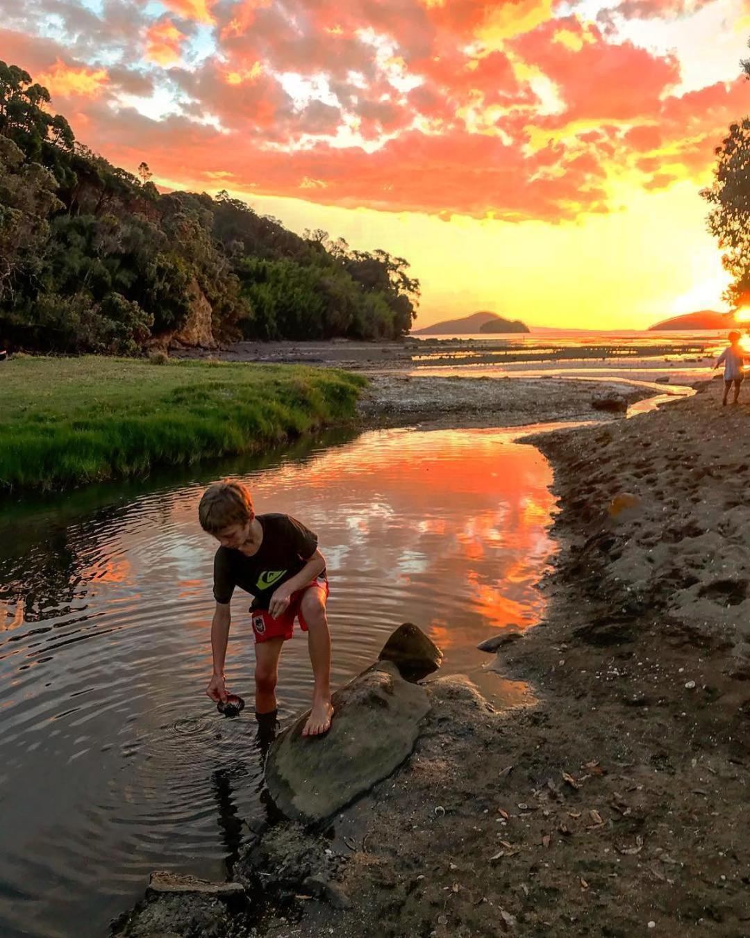 Coromandel Shelly Beach TOP 10 Holiday Park