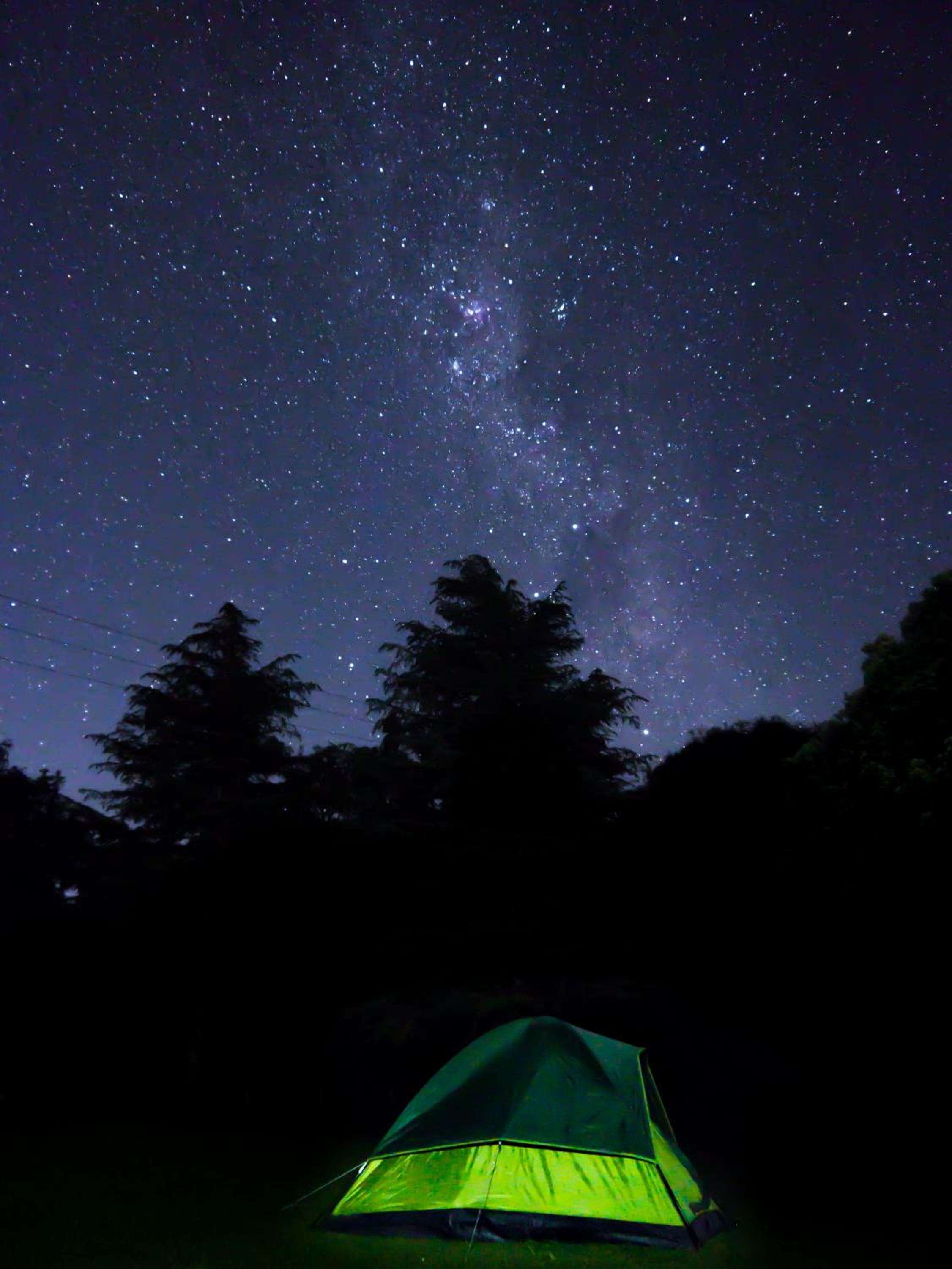 Coromandel Shelly Beach TOP 10 Holiday Park