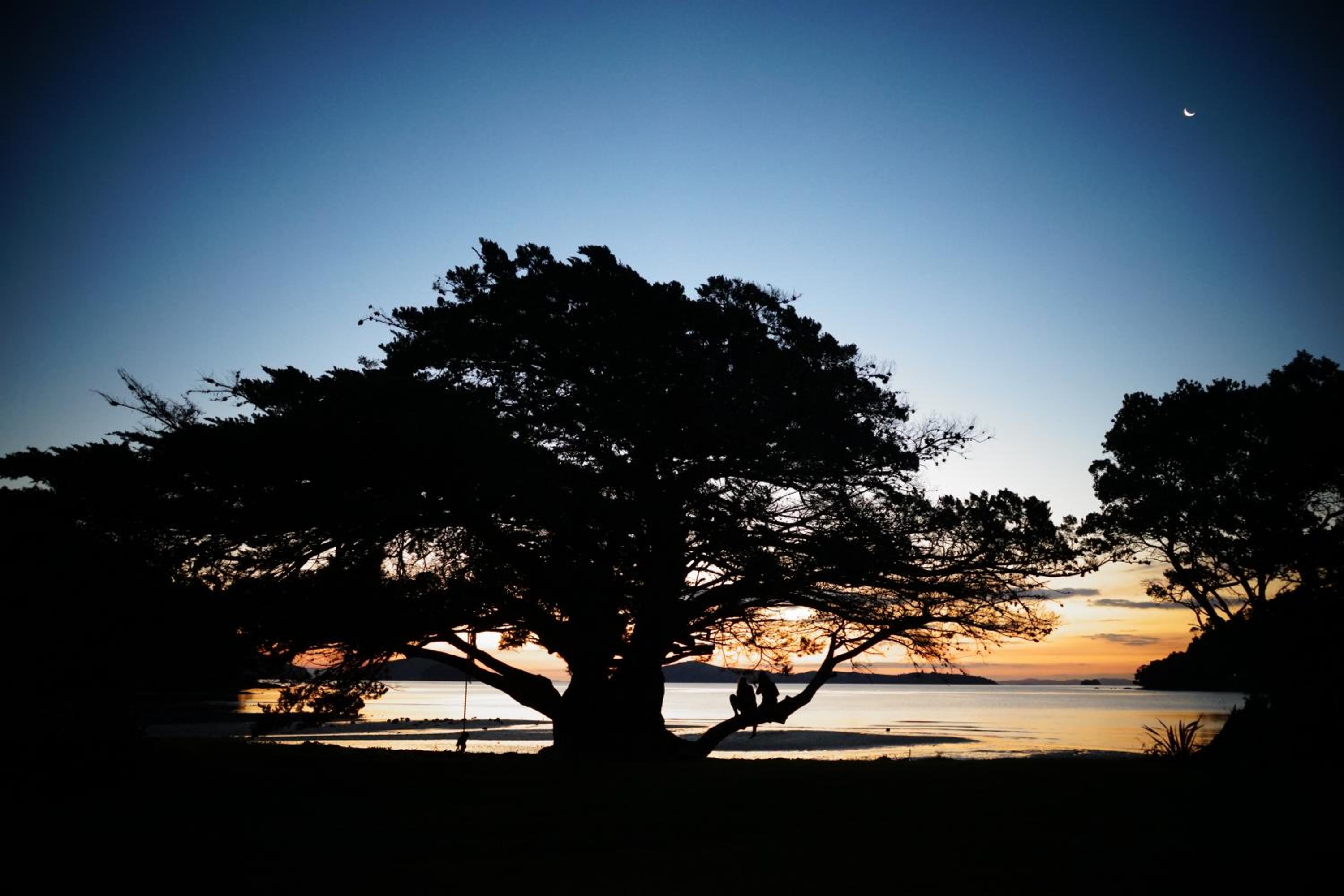 Coromandel Shelly Beach TOP 10 Holiday Park