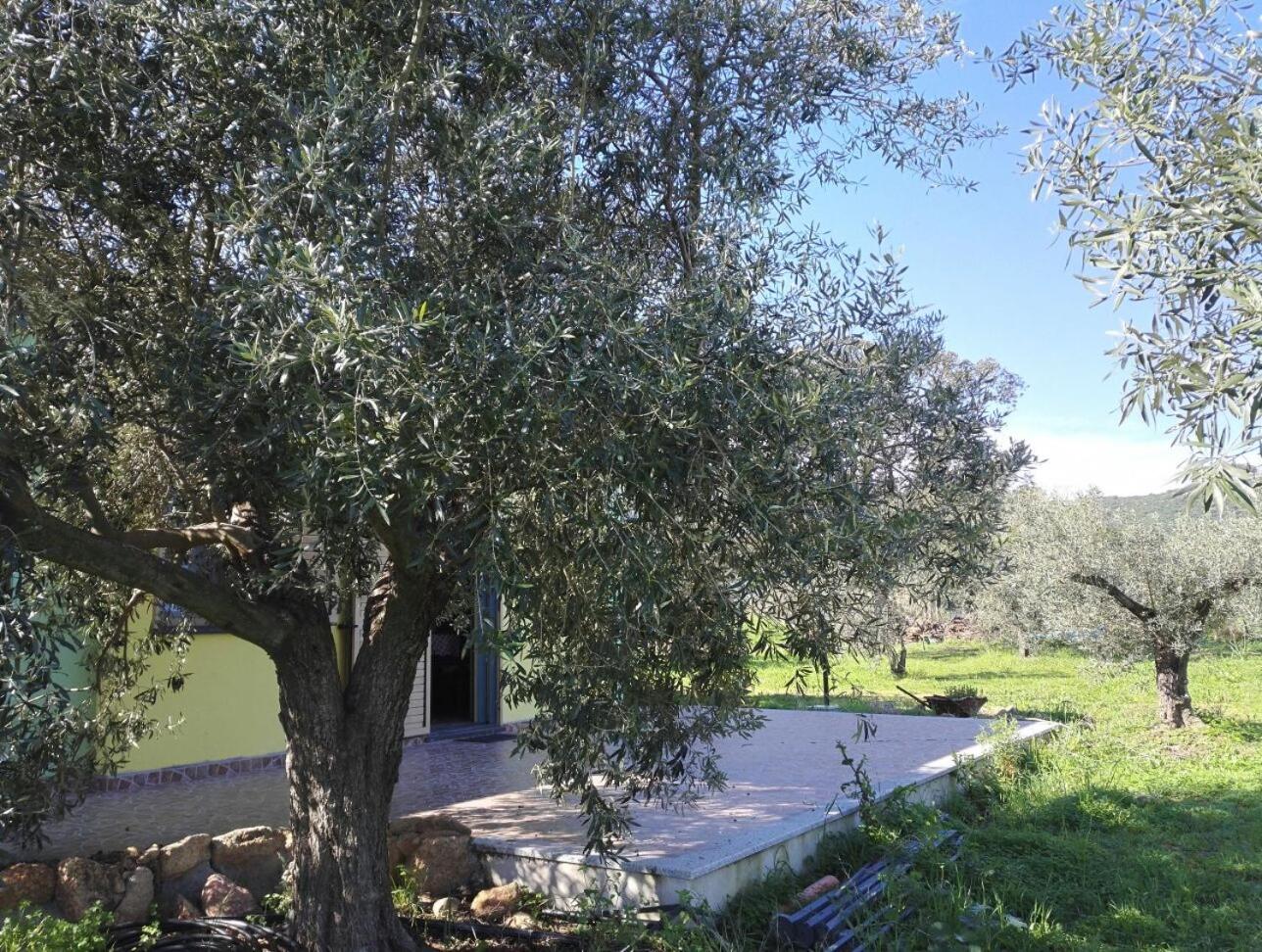 Agriturismo "PIRASTRERI" view 3