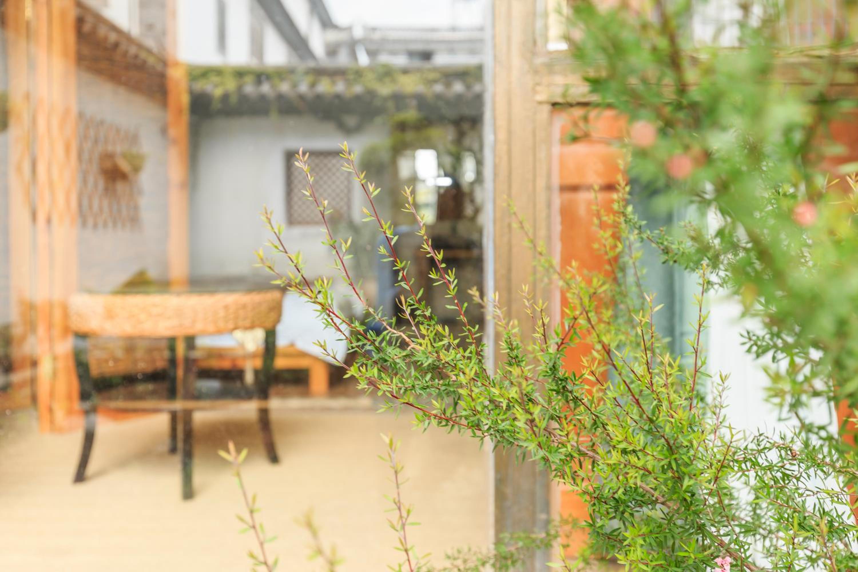 Dali Buxianshan Guesthouse-in Dali ancient city, free coffee, english speaking employee