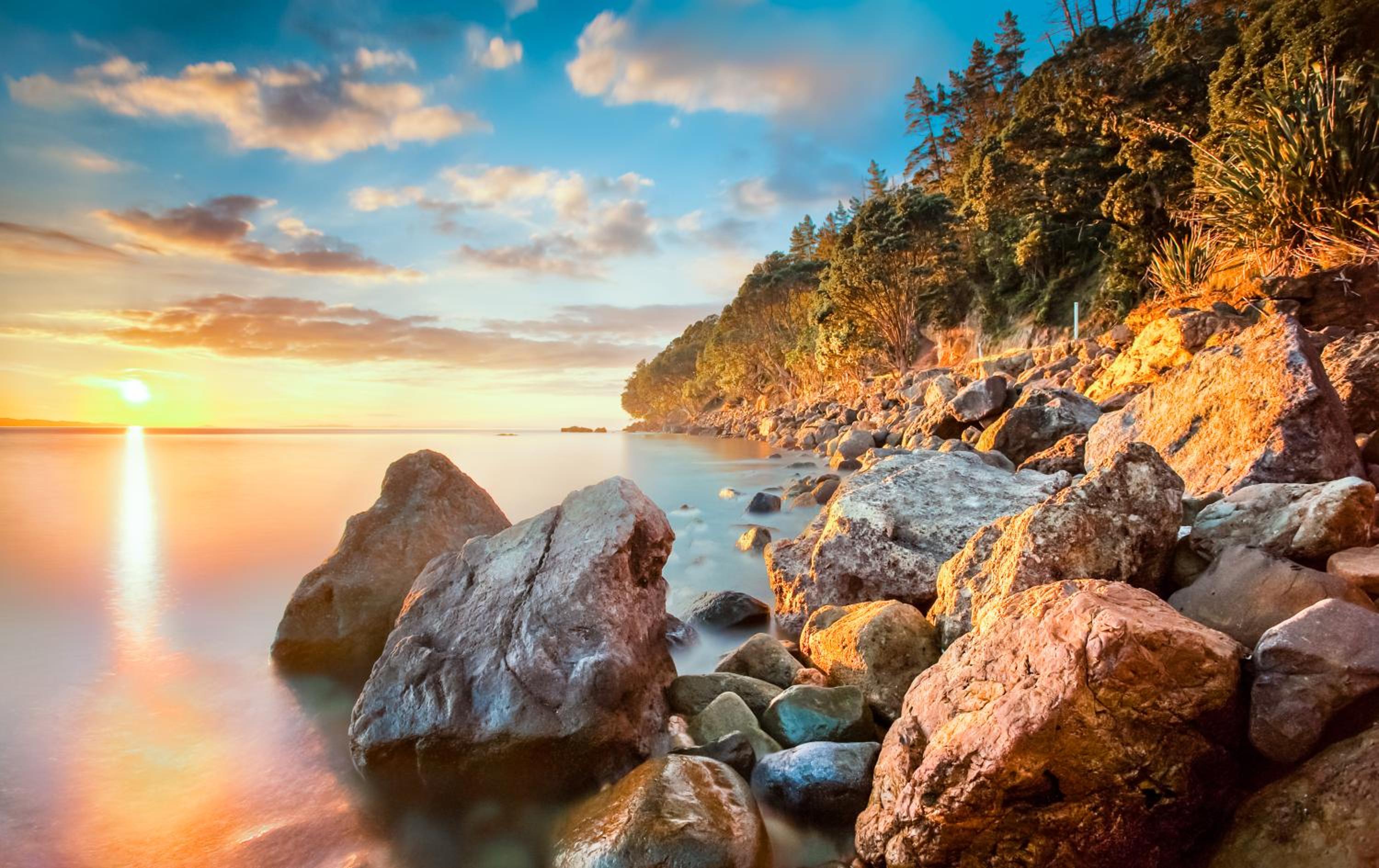 Coromandel Shelly Beach TOP 10 Holiday Park