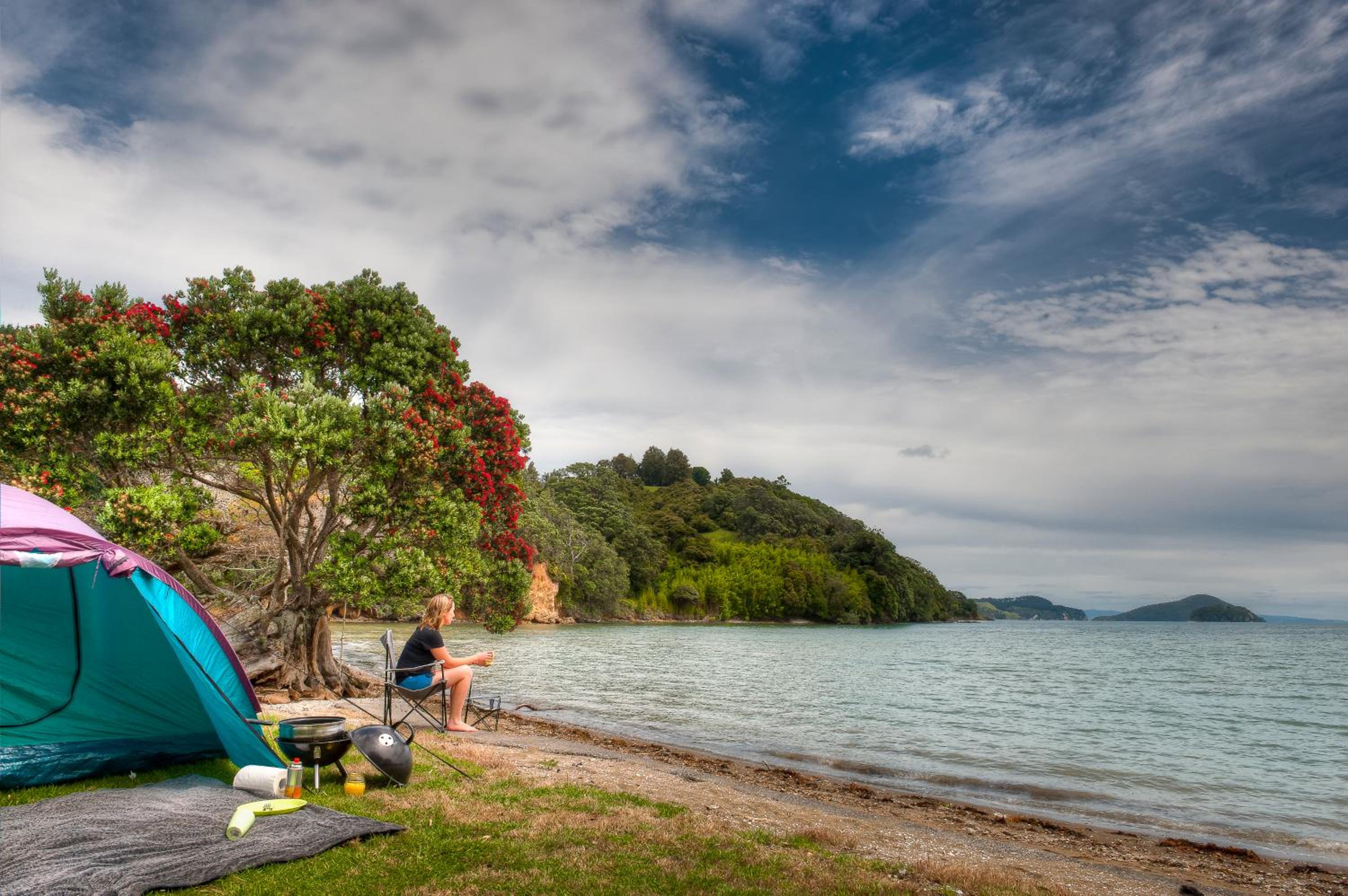 Coromandel Shelly Beach TOP 10 Holiday Park