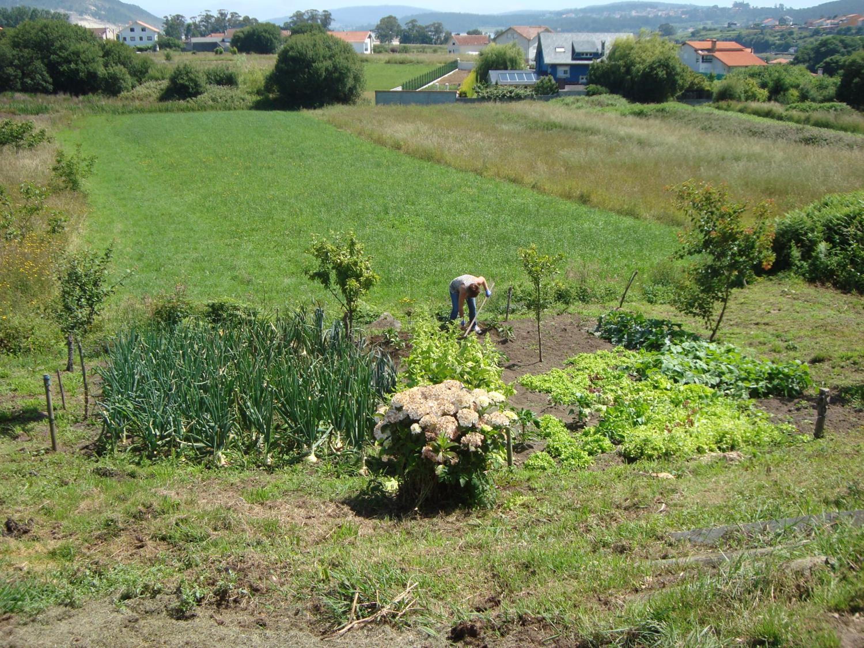 Photo 41