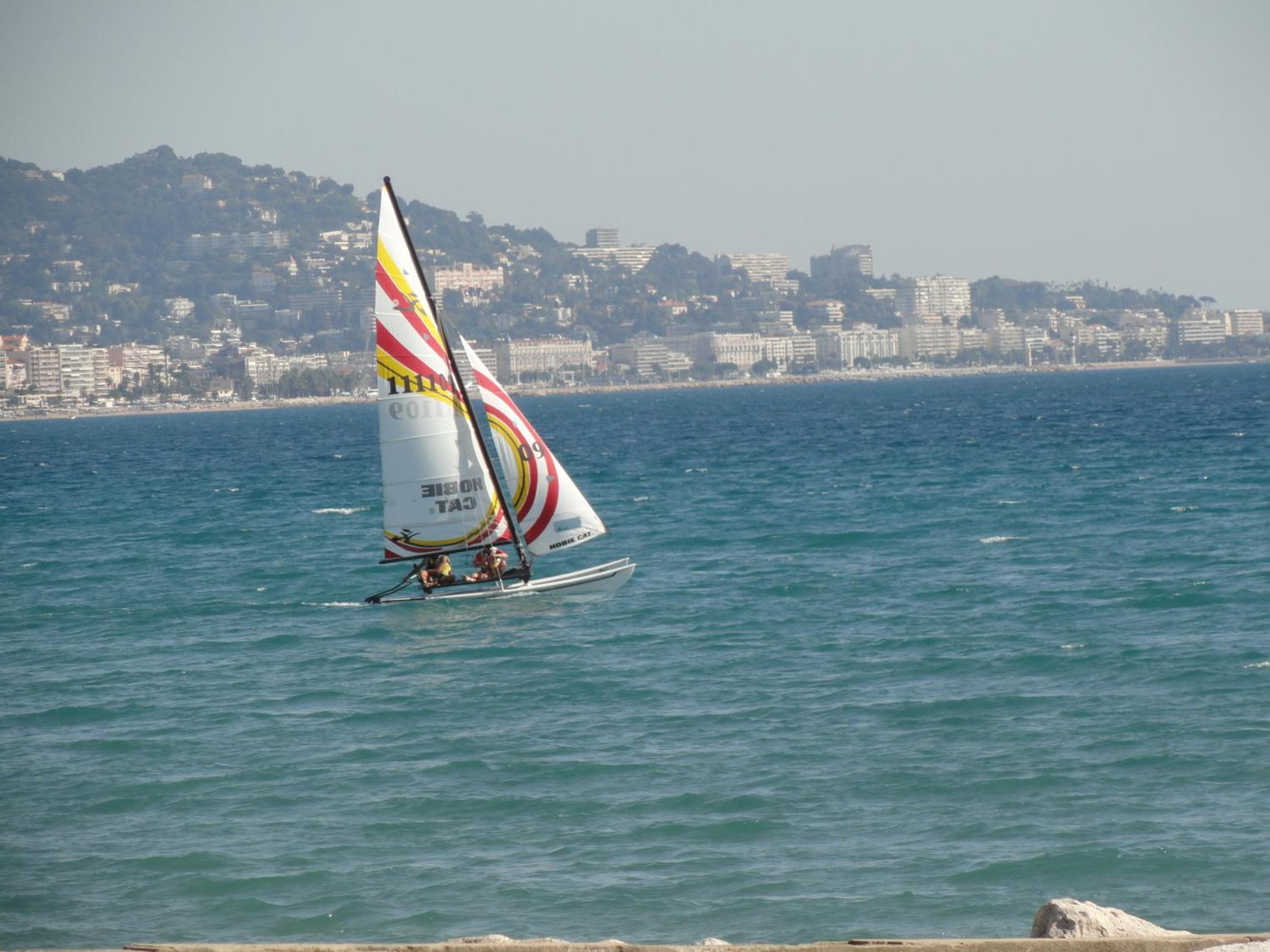 Photo 45