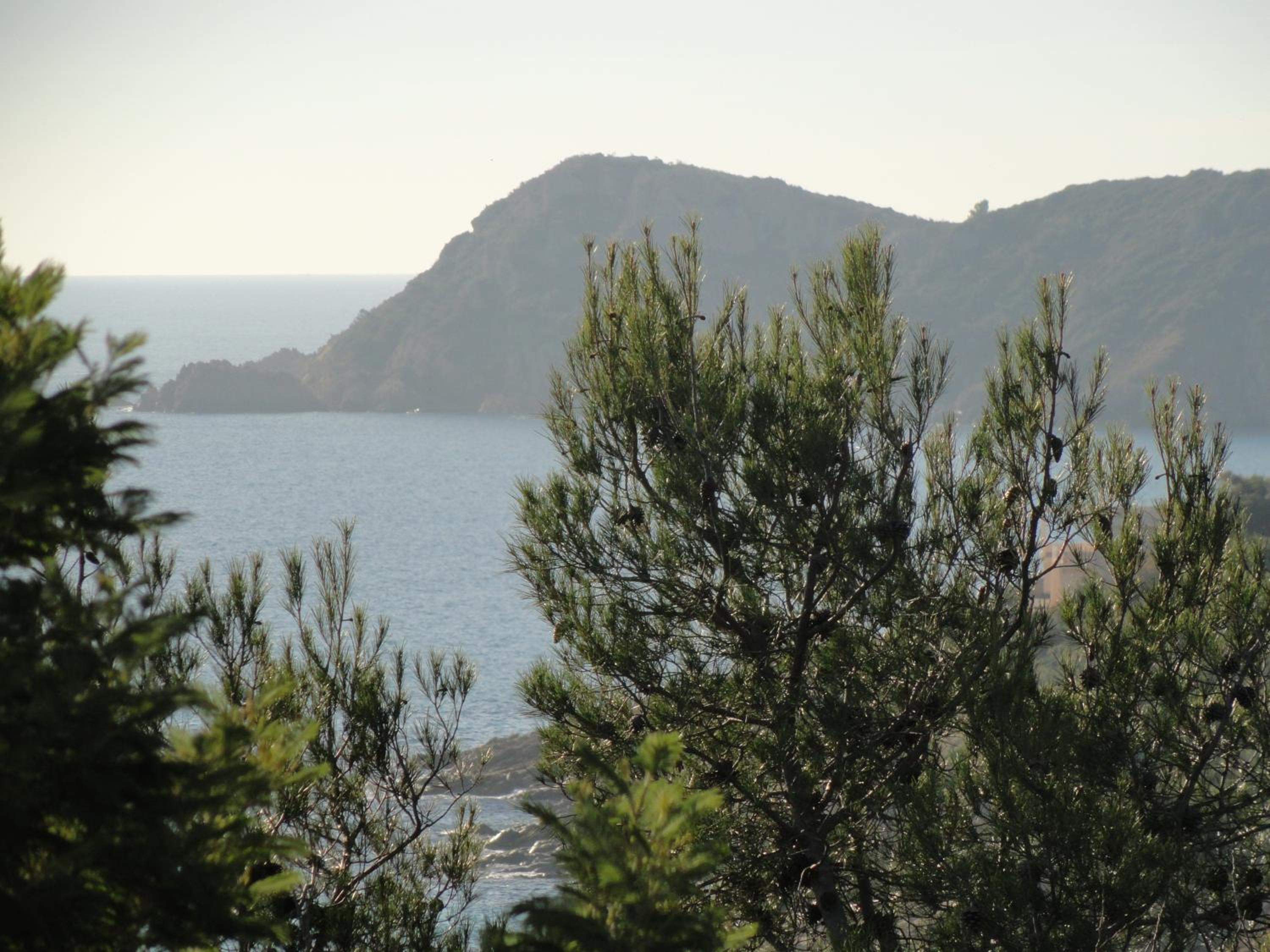 Photo 42