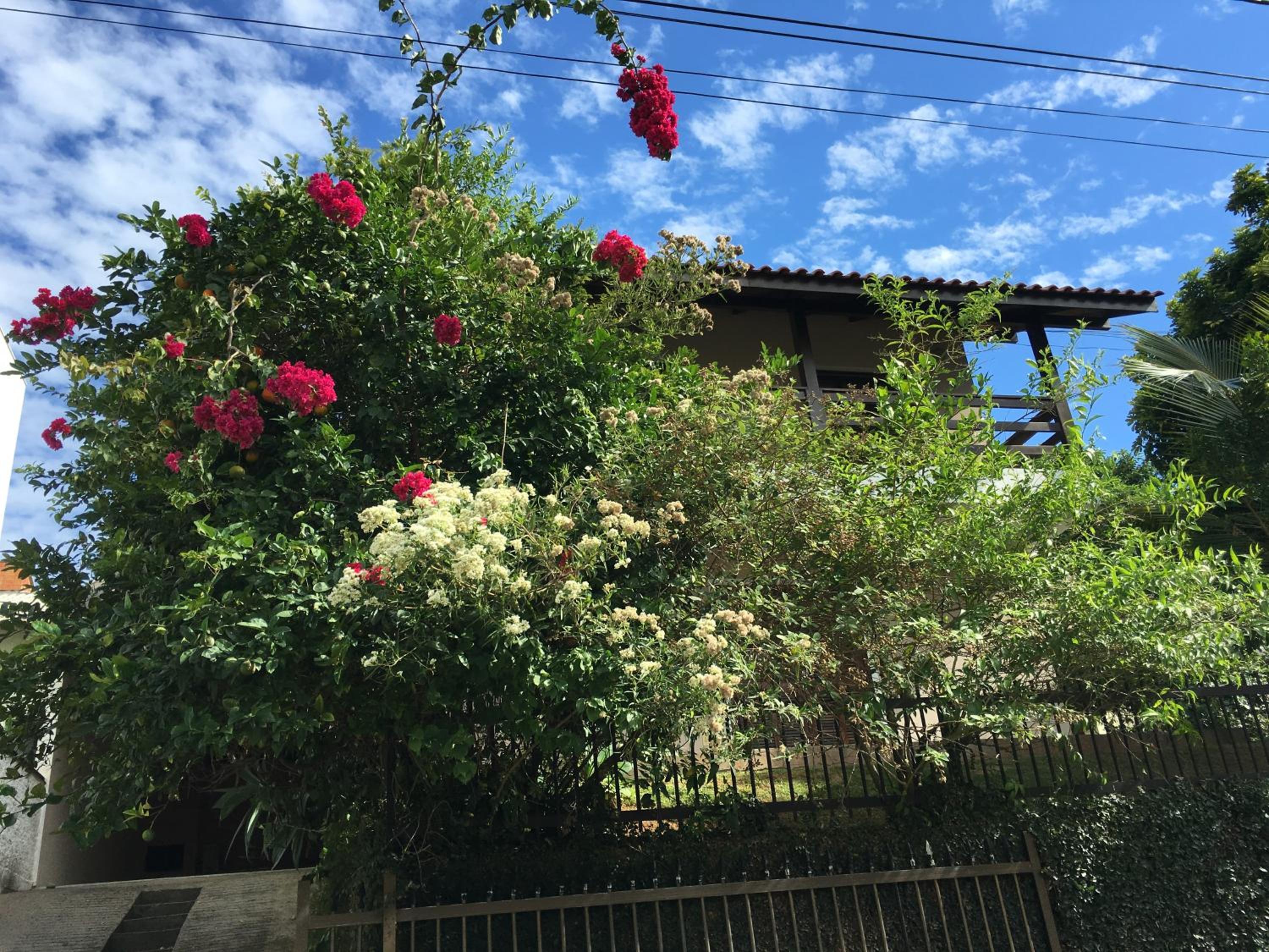 Excelente Casa em Bombas
