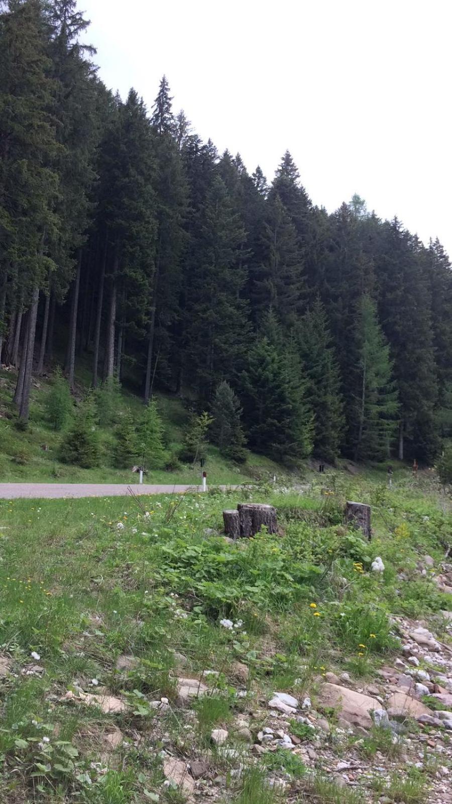 Photo 29