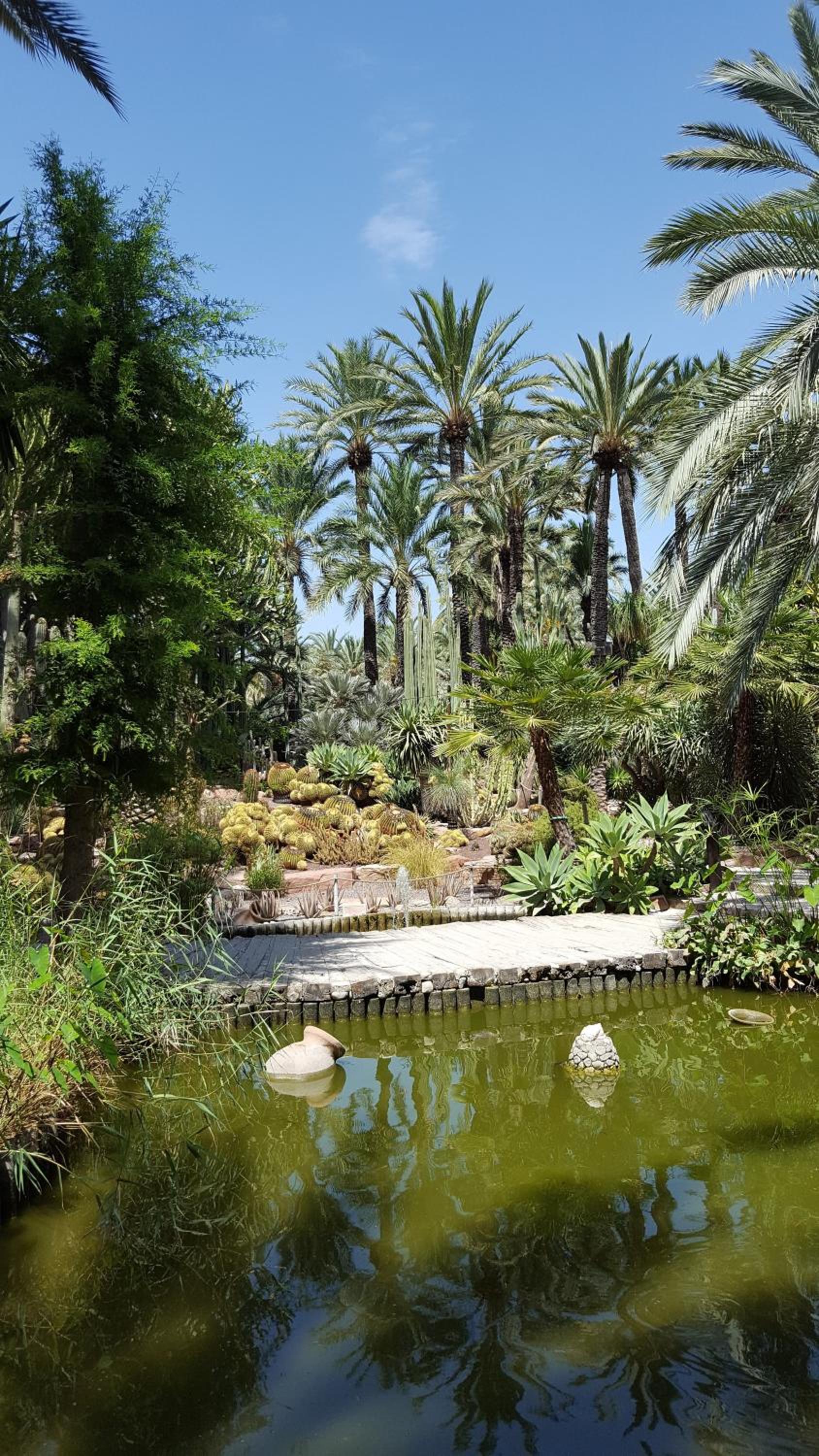 Villa MATHEO view 2