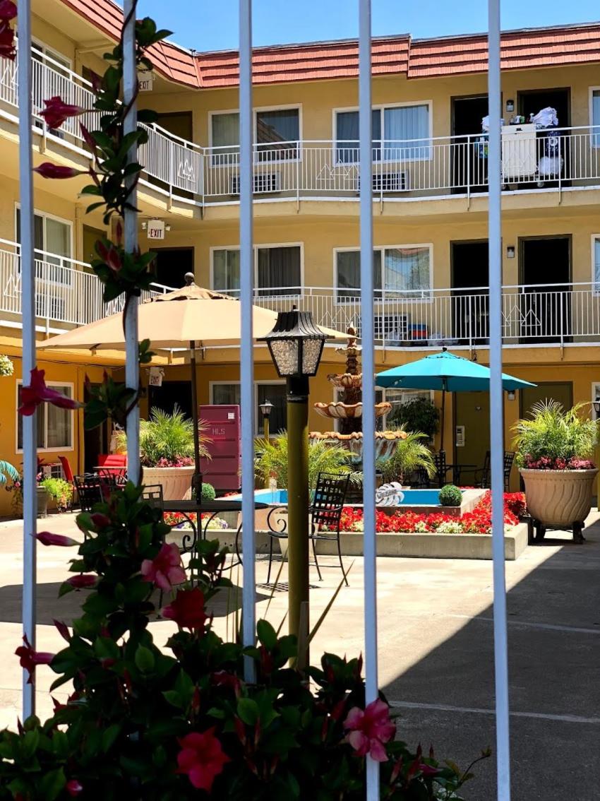 children's play area