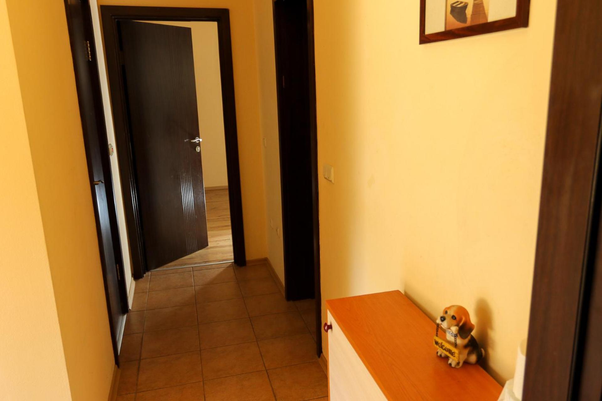 Complex Sozopol Dreams BMT