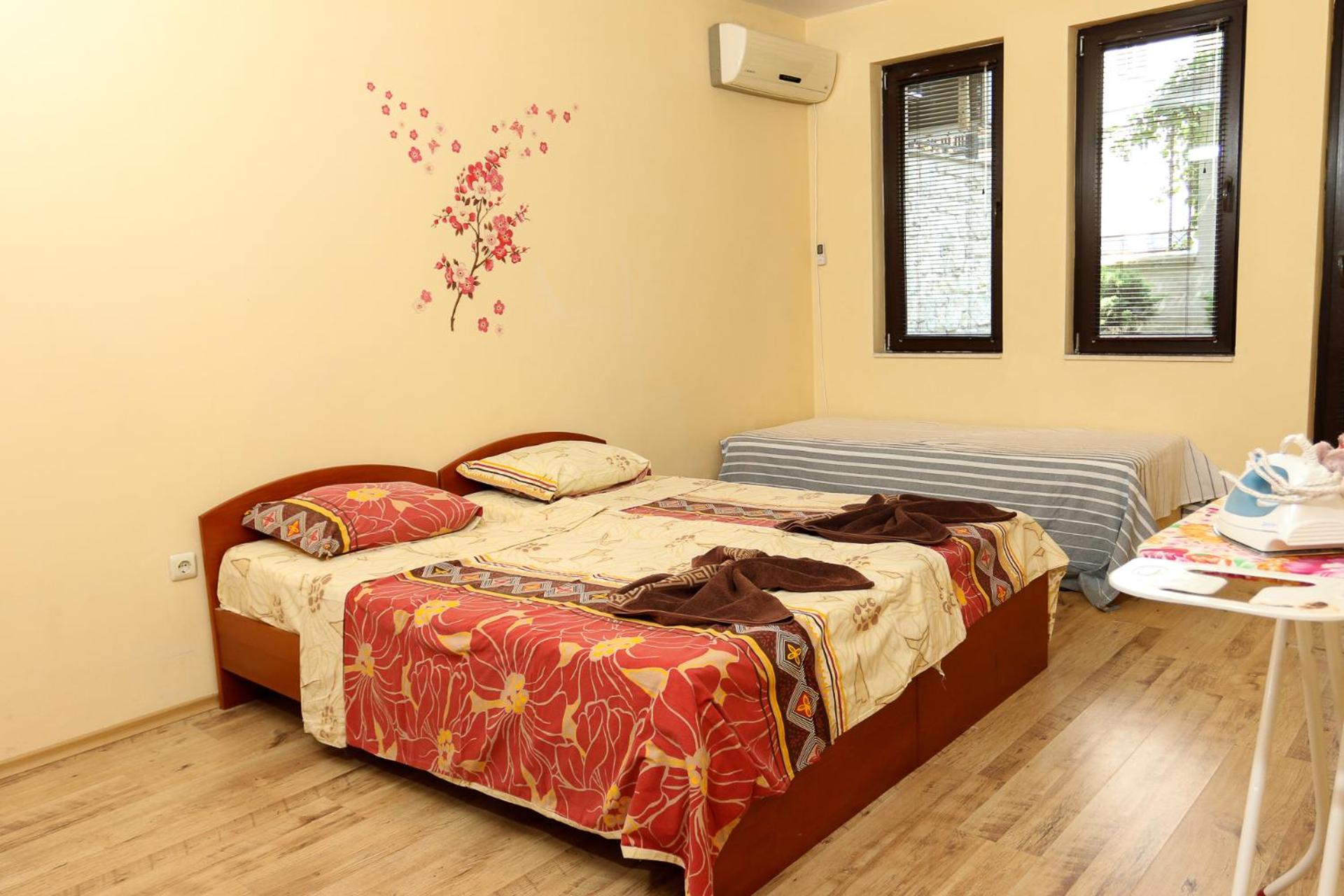 Complex Sozopol Dreams BMT