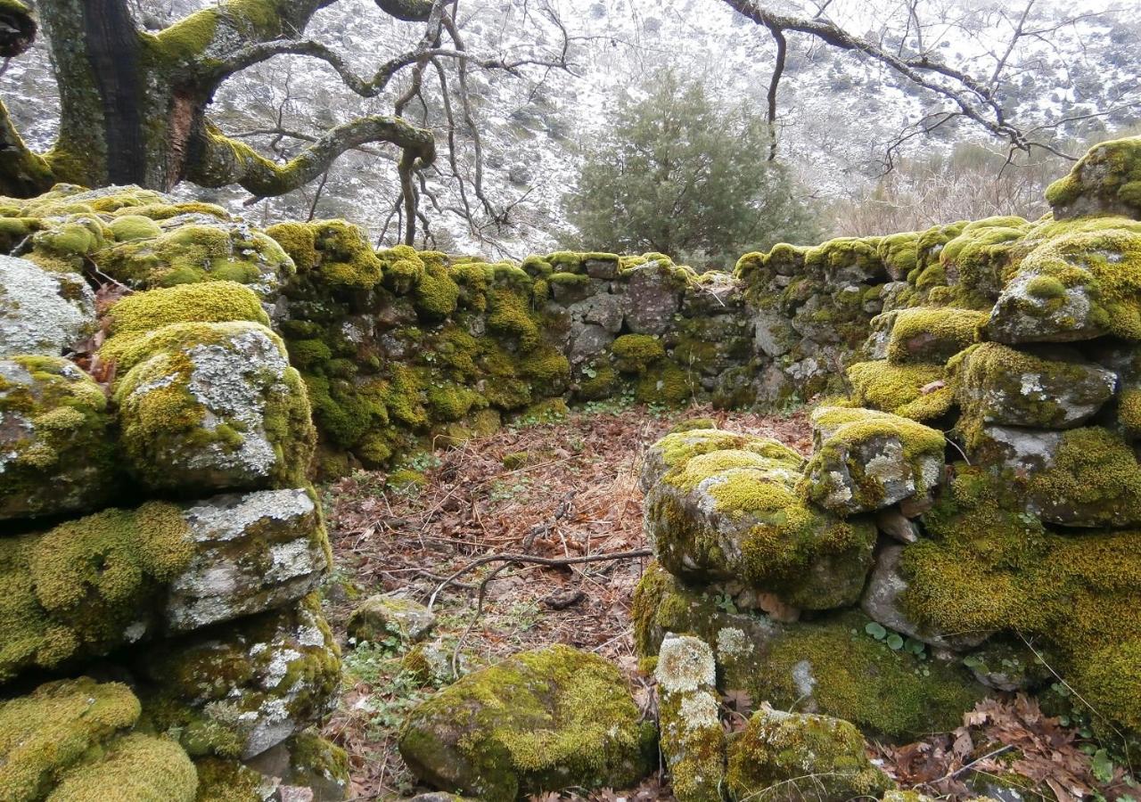 Photo 48