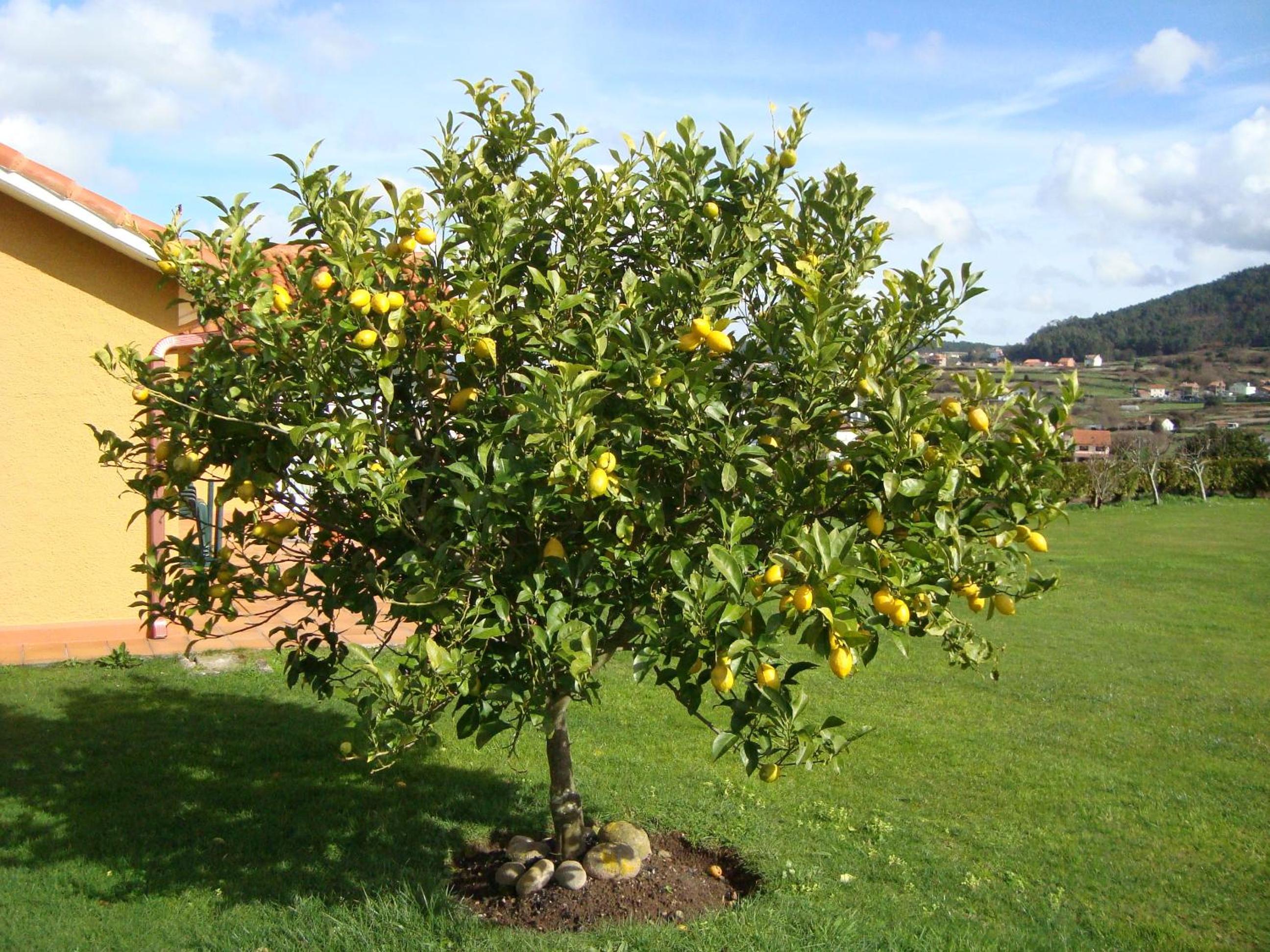 Photo 44