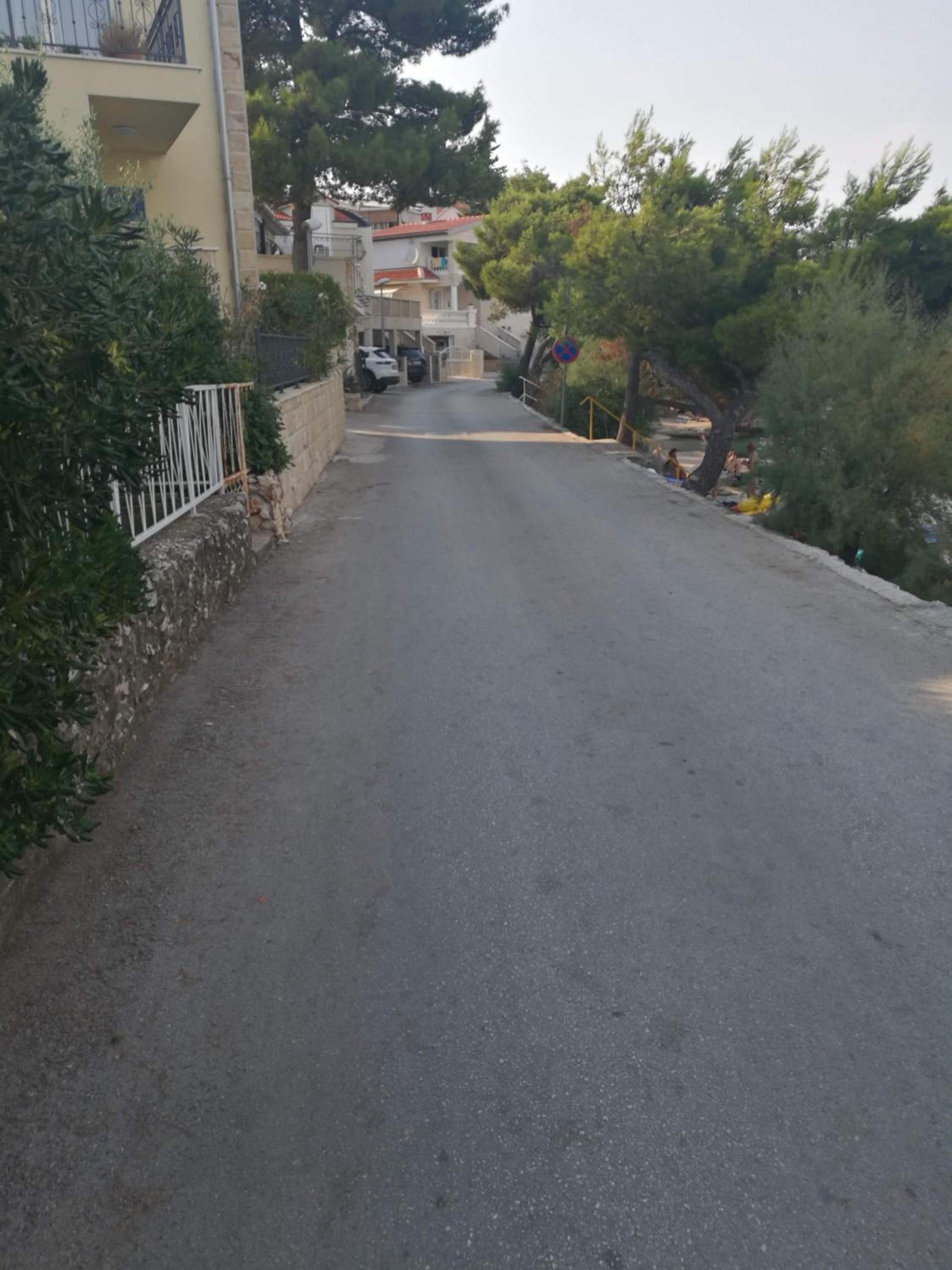 Photo 44