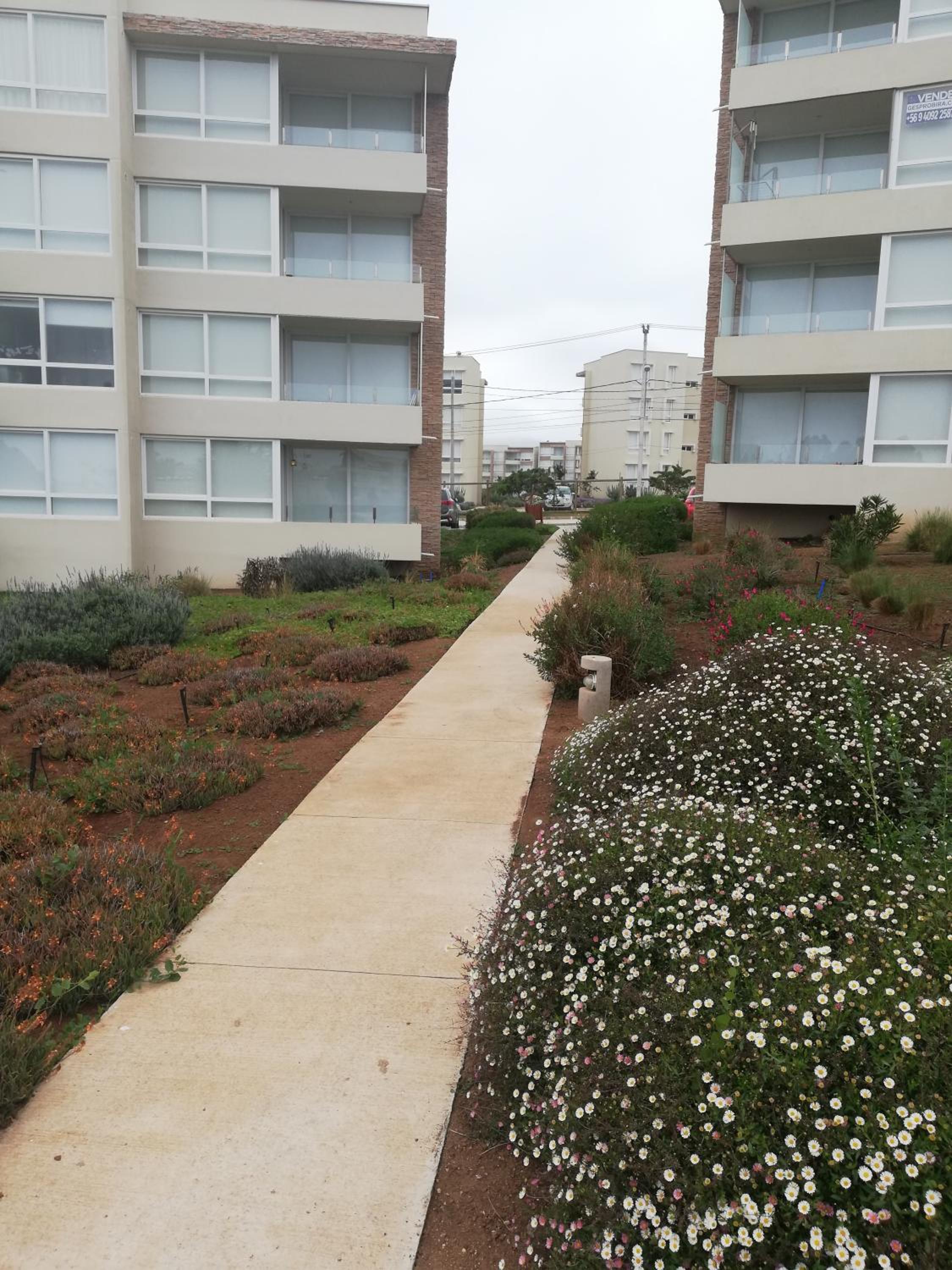 Departamento Lomas de Papudo 2