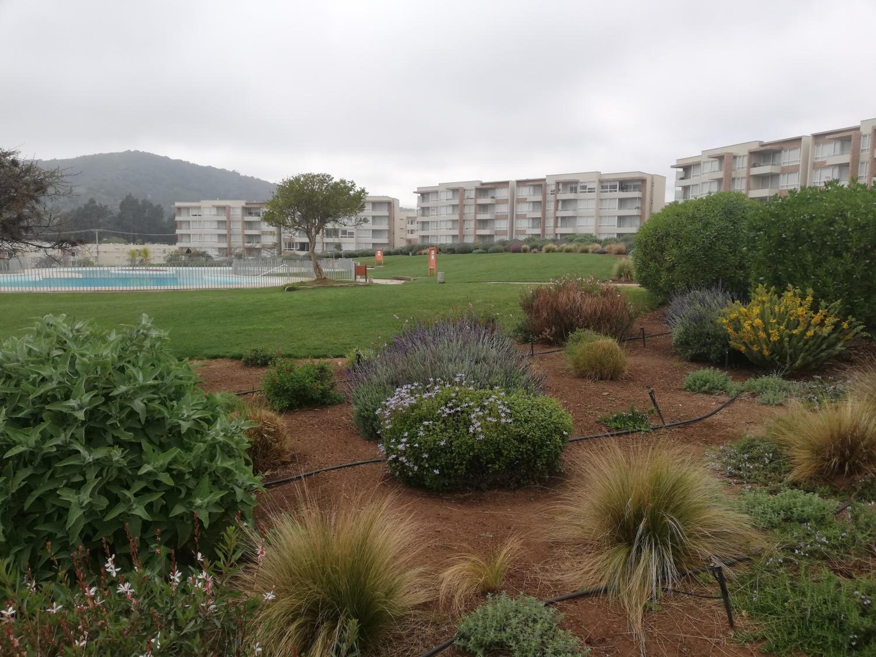 Departamento Lomas de Papudo 2