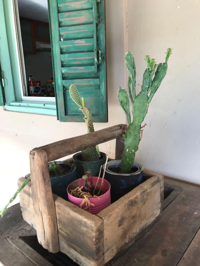Posada San Andres
