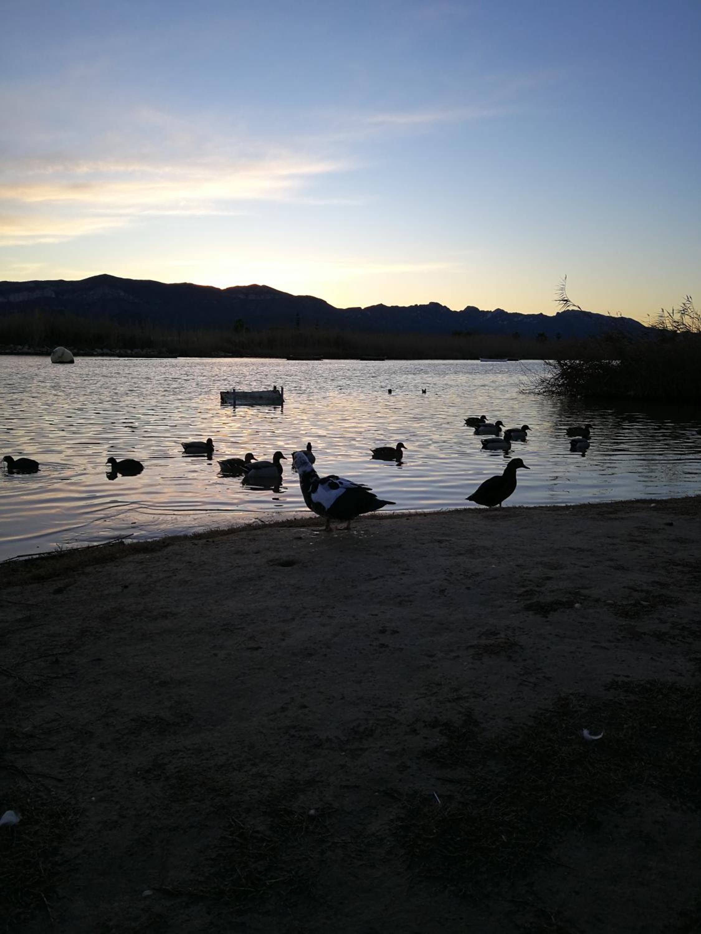 Photo 35