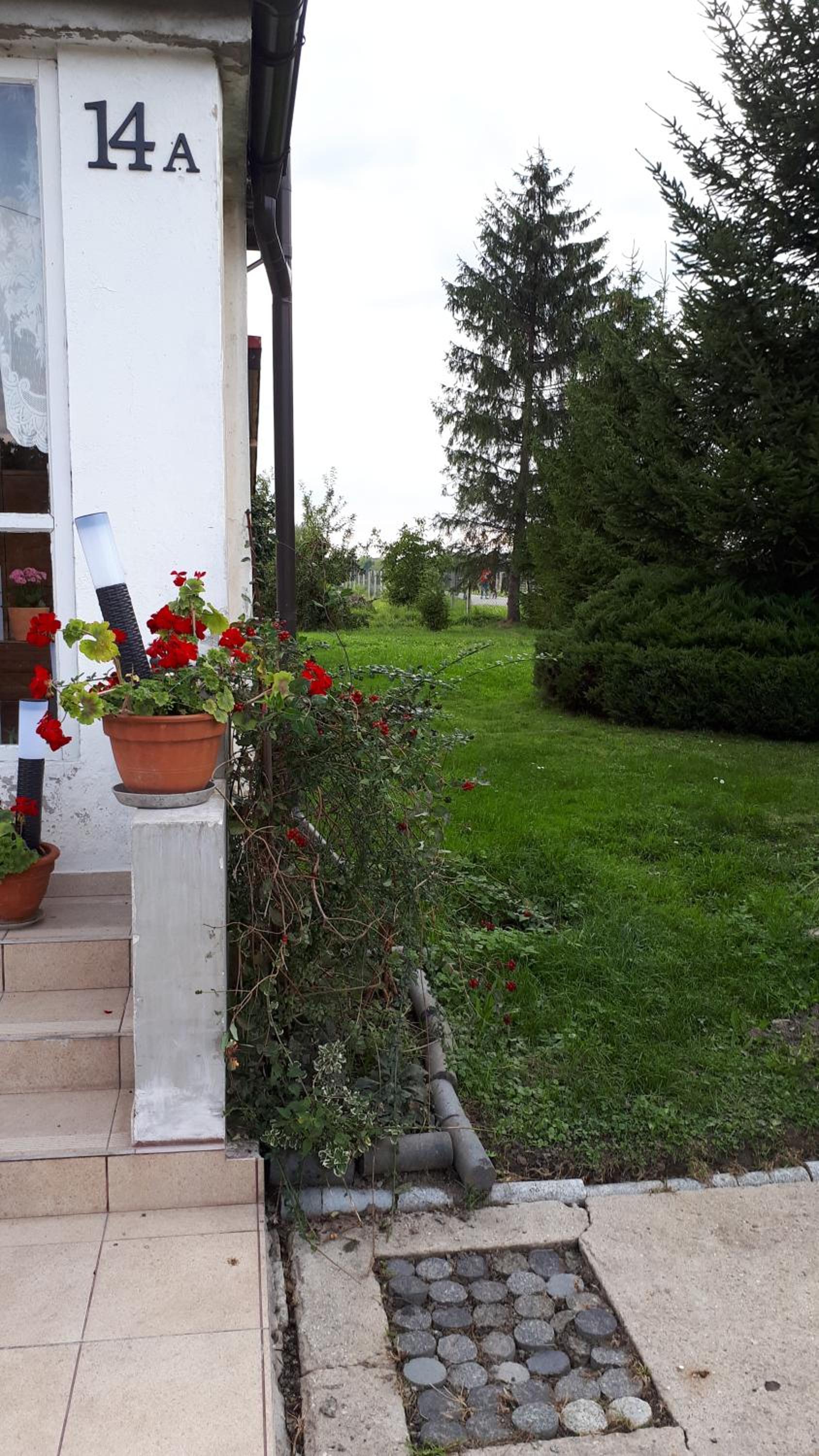 Photo 35