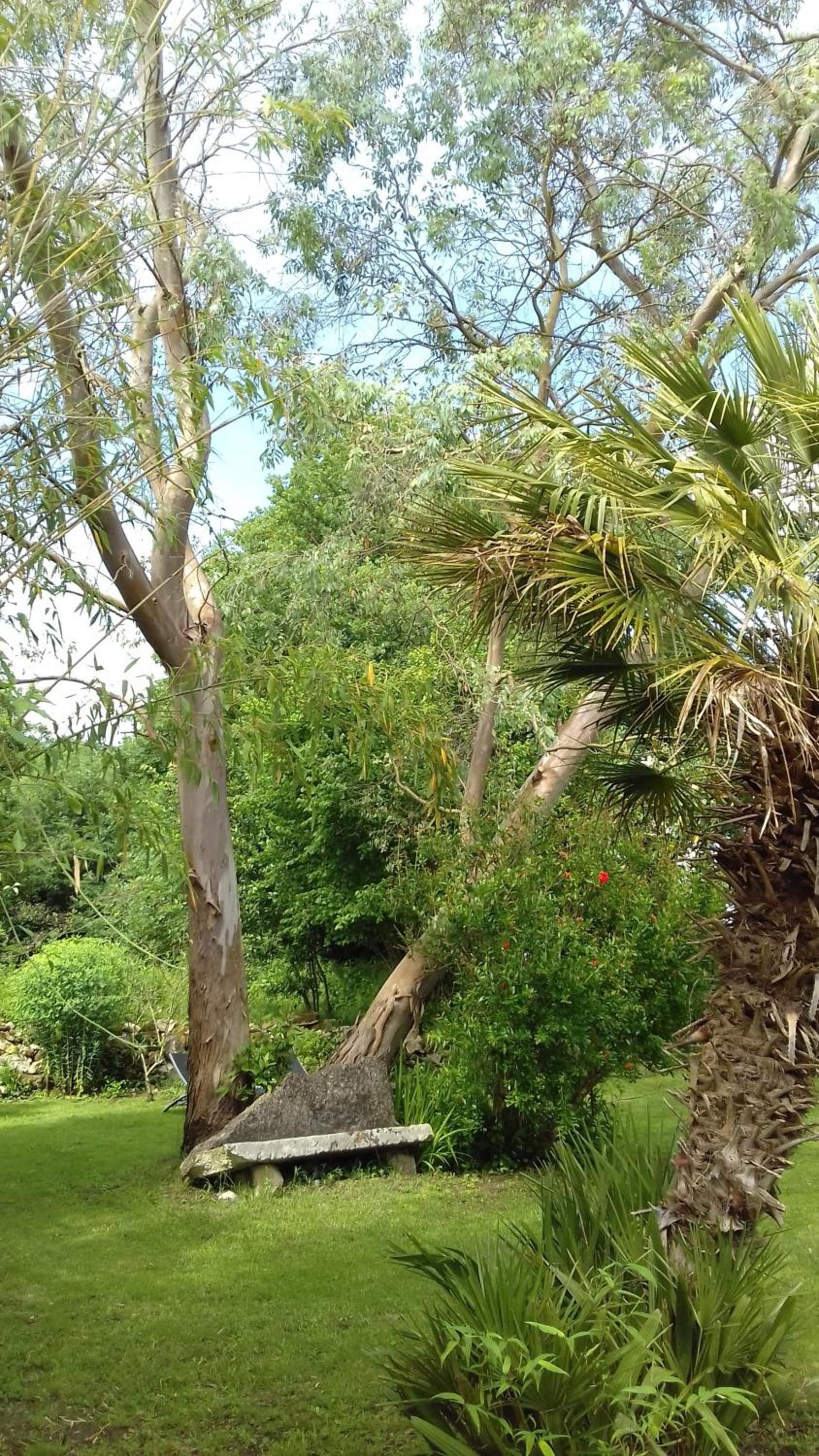 Photo 18