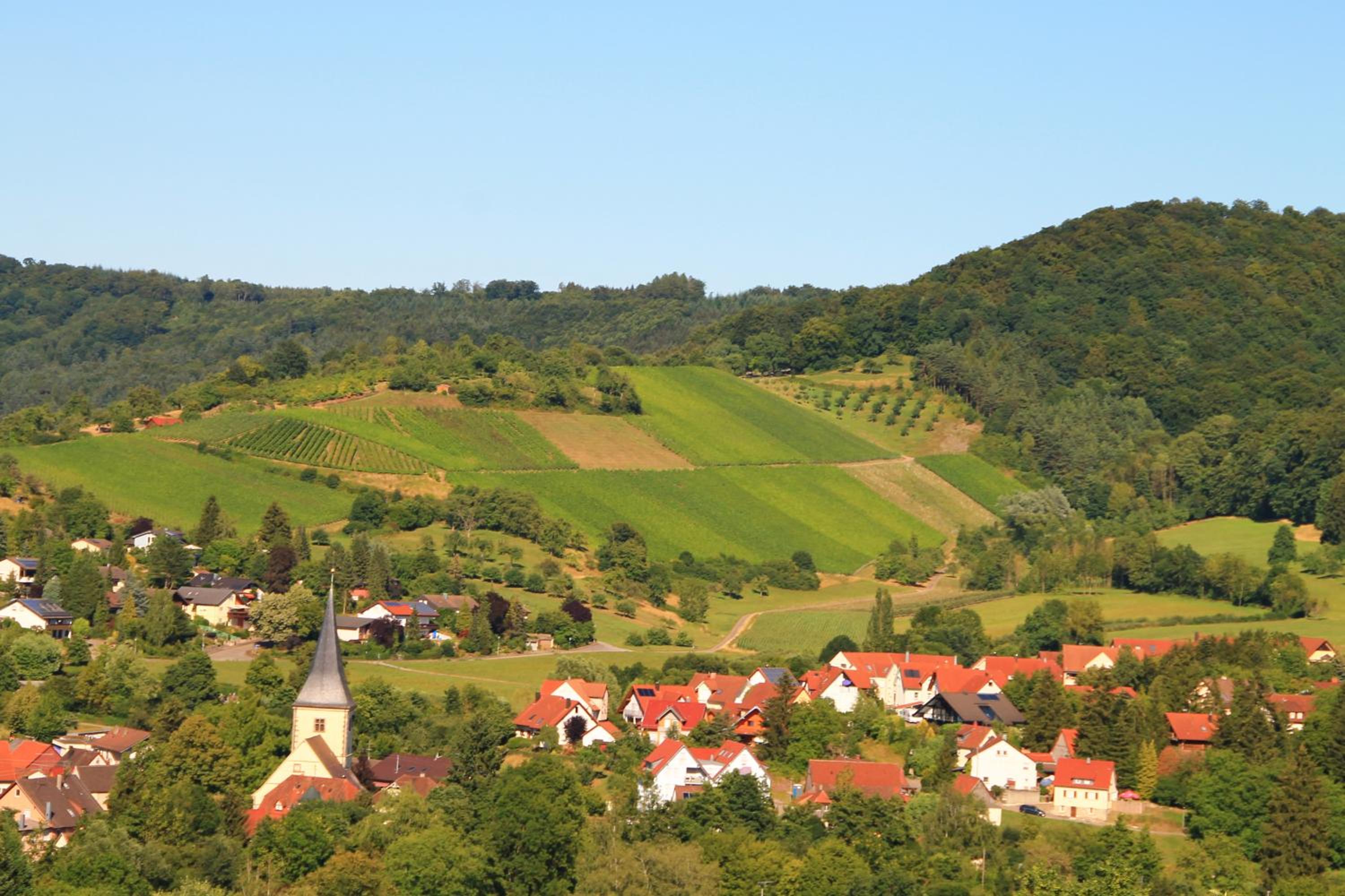 Ferienwohnung Kraft view 5