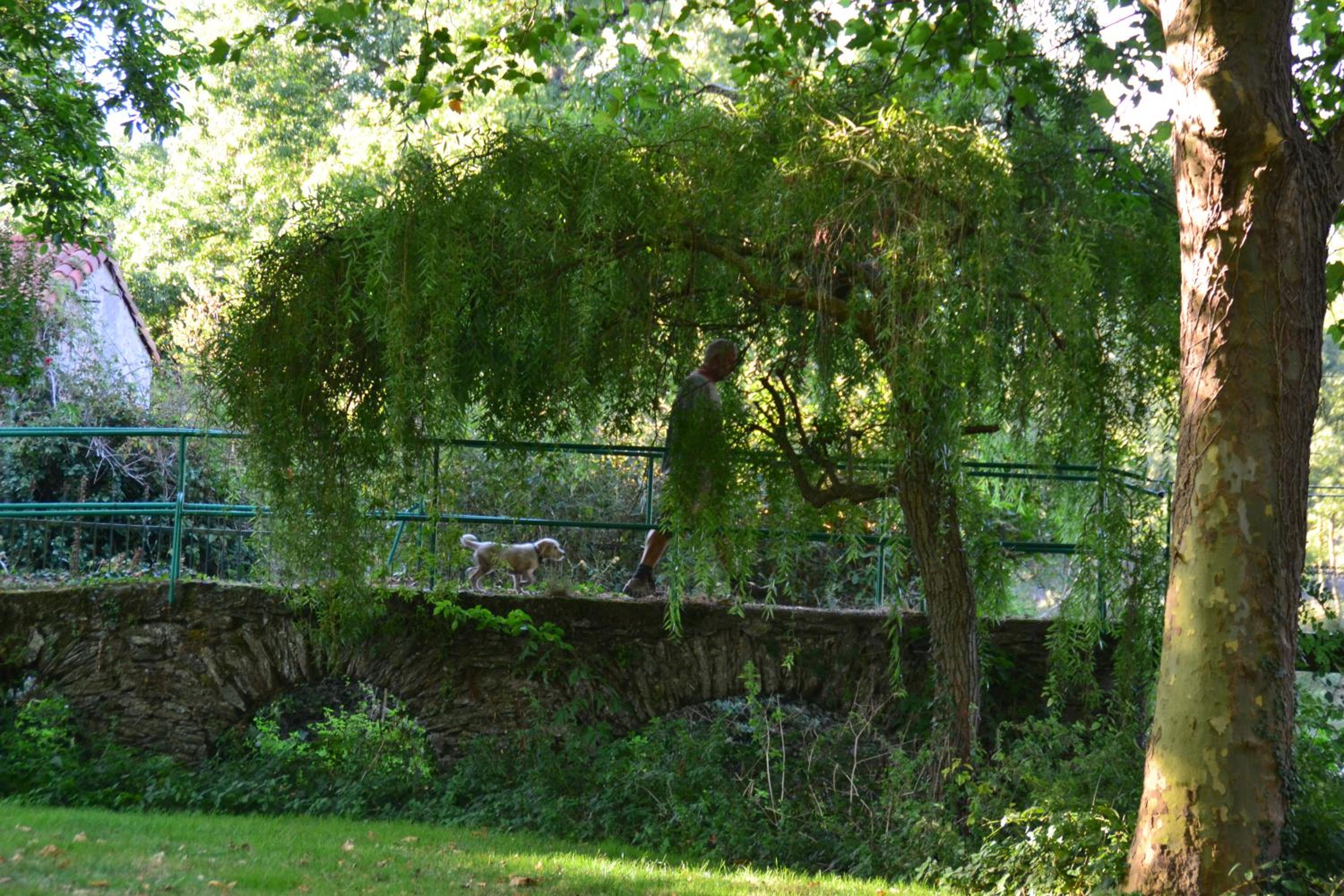 Le Moulin Neuf, photo 12