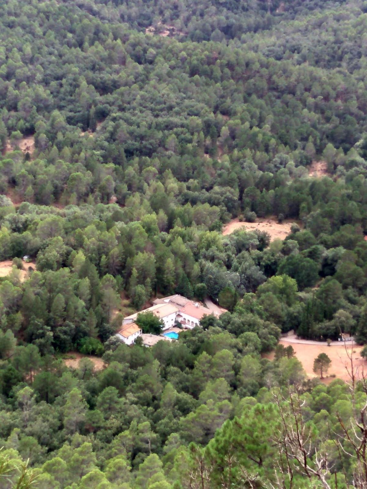 Pensión Rural Arroyo la Teja view 3