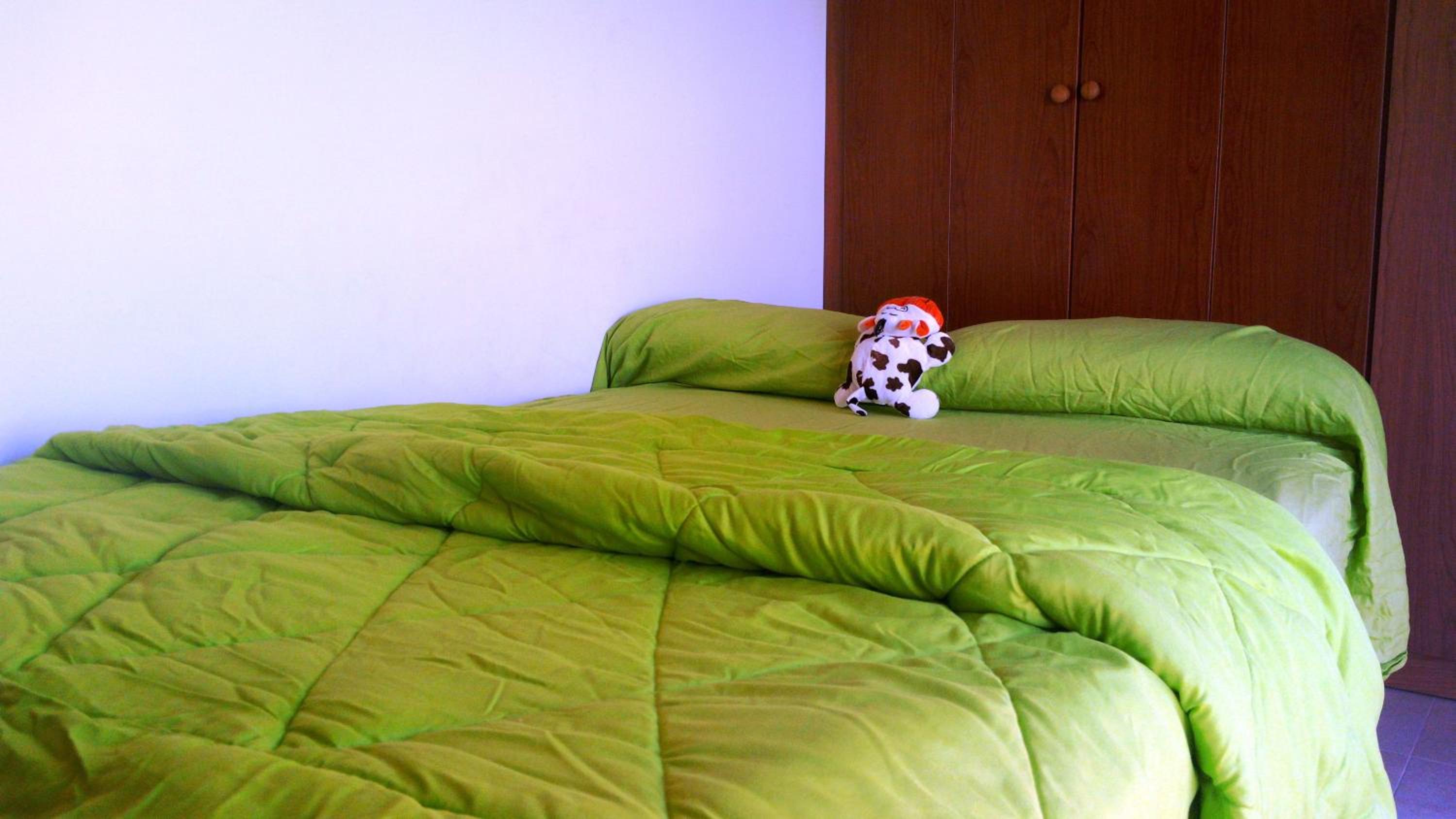 Photo 44