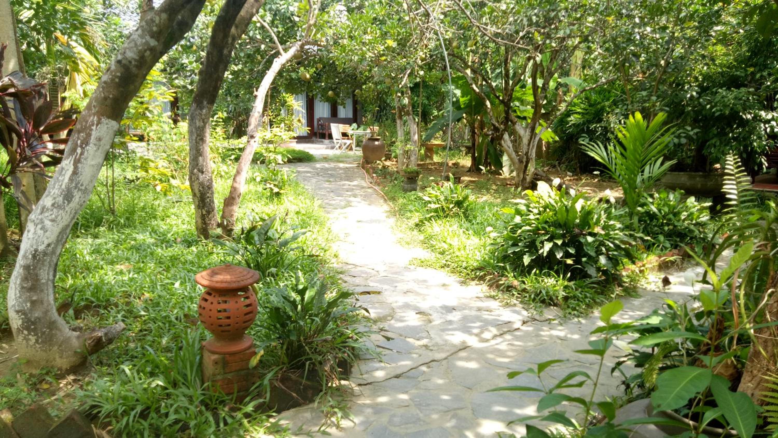 Photo 12