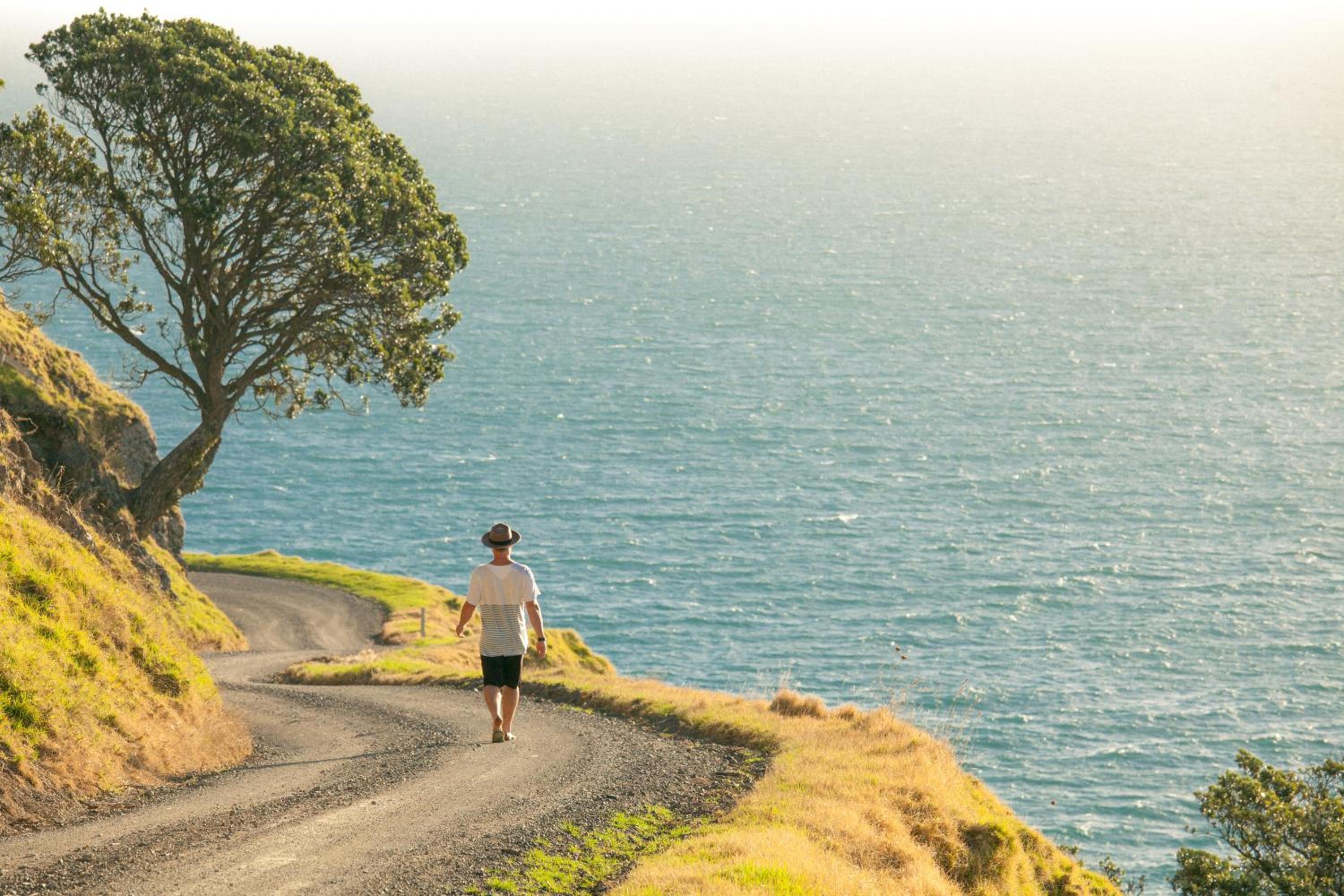 Coromandel Shelly Beach TOP 10 Holiday Park