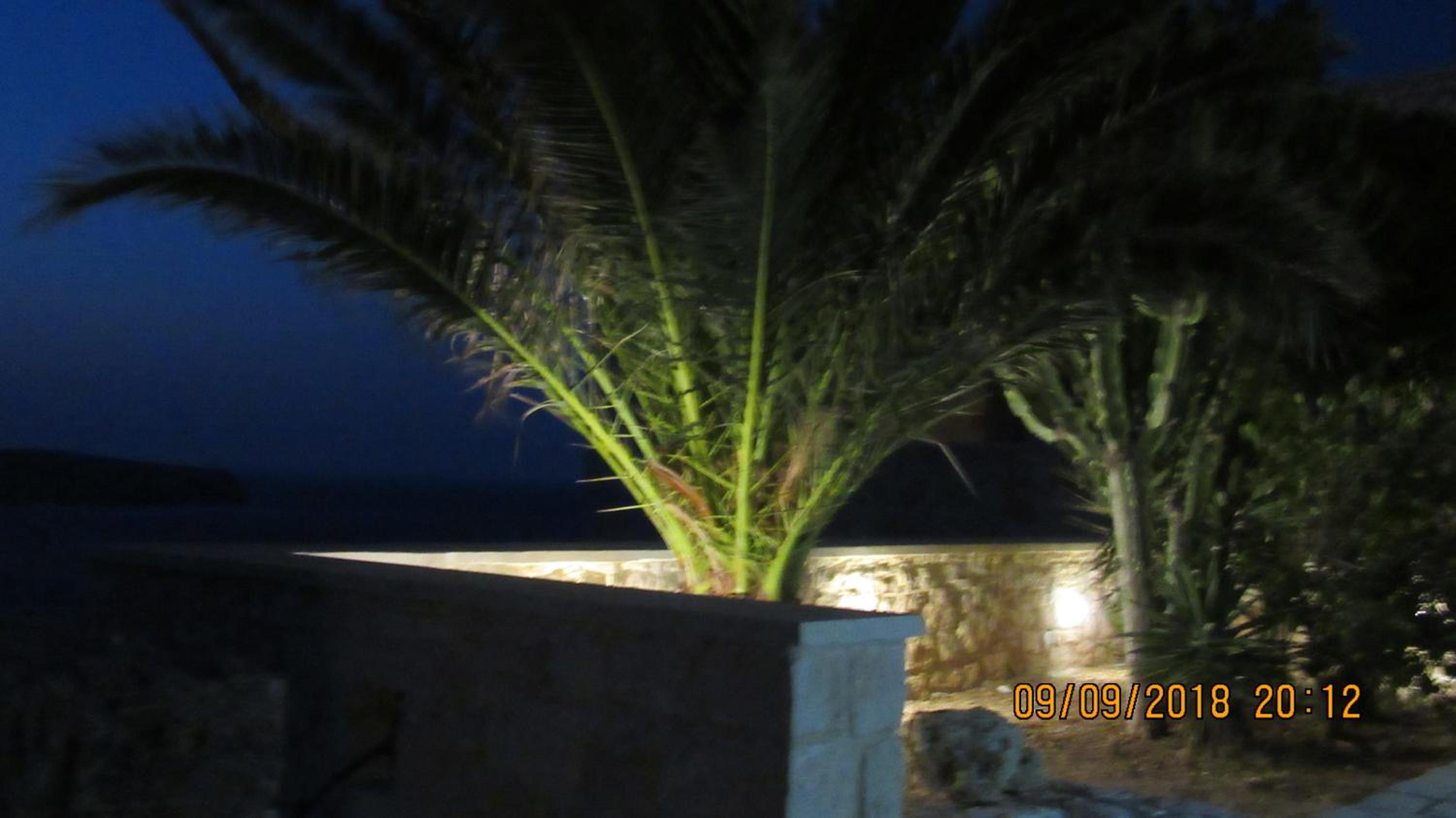 Photo 51