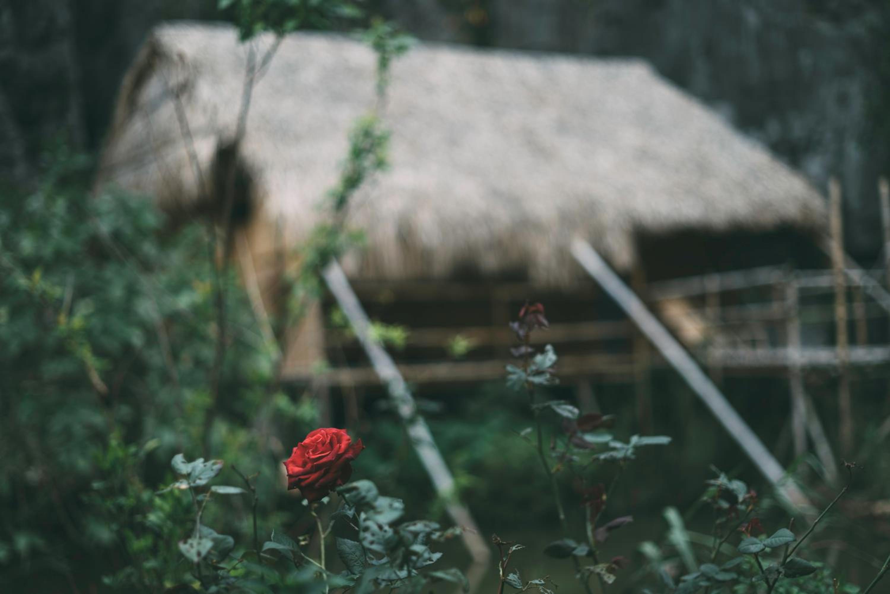Chez Beo Homestay