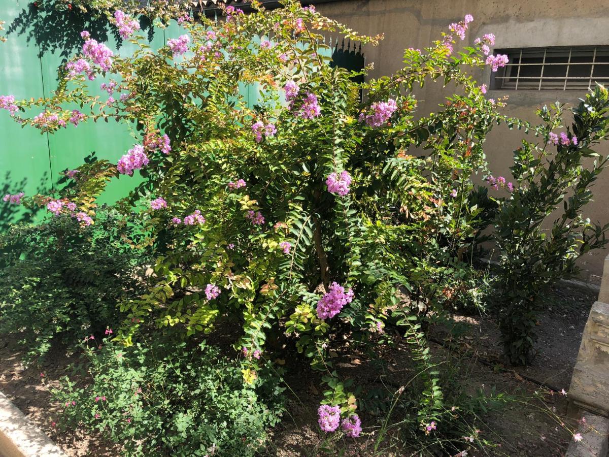 Apartment Le Jardin