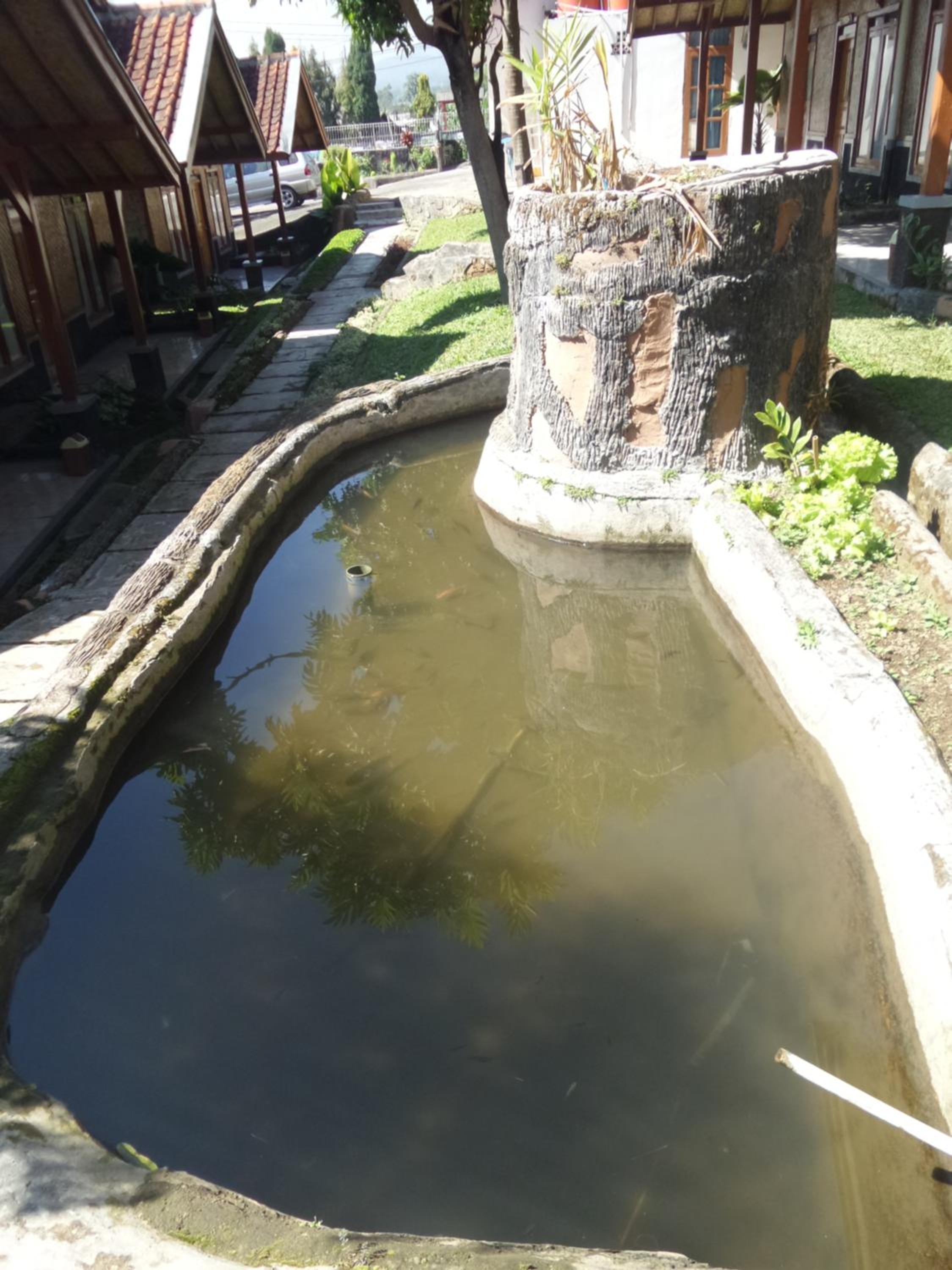 Pondok Stevia Ciwidey view 3