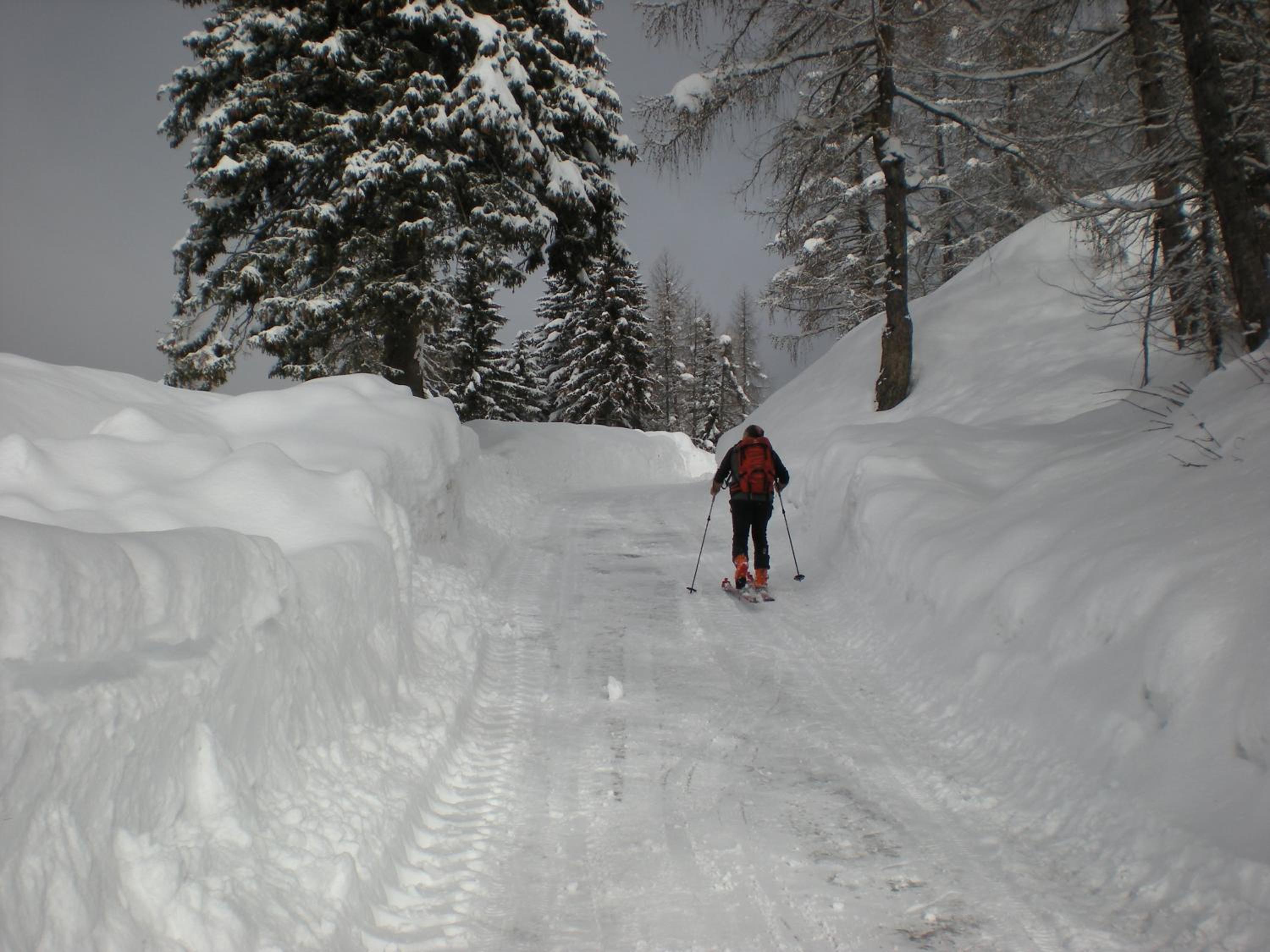 Photo 40