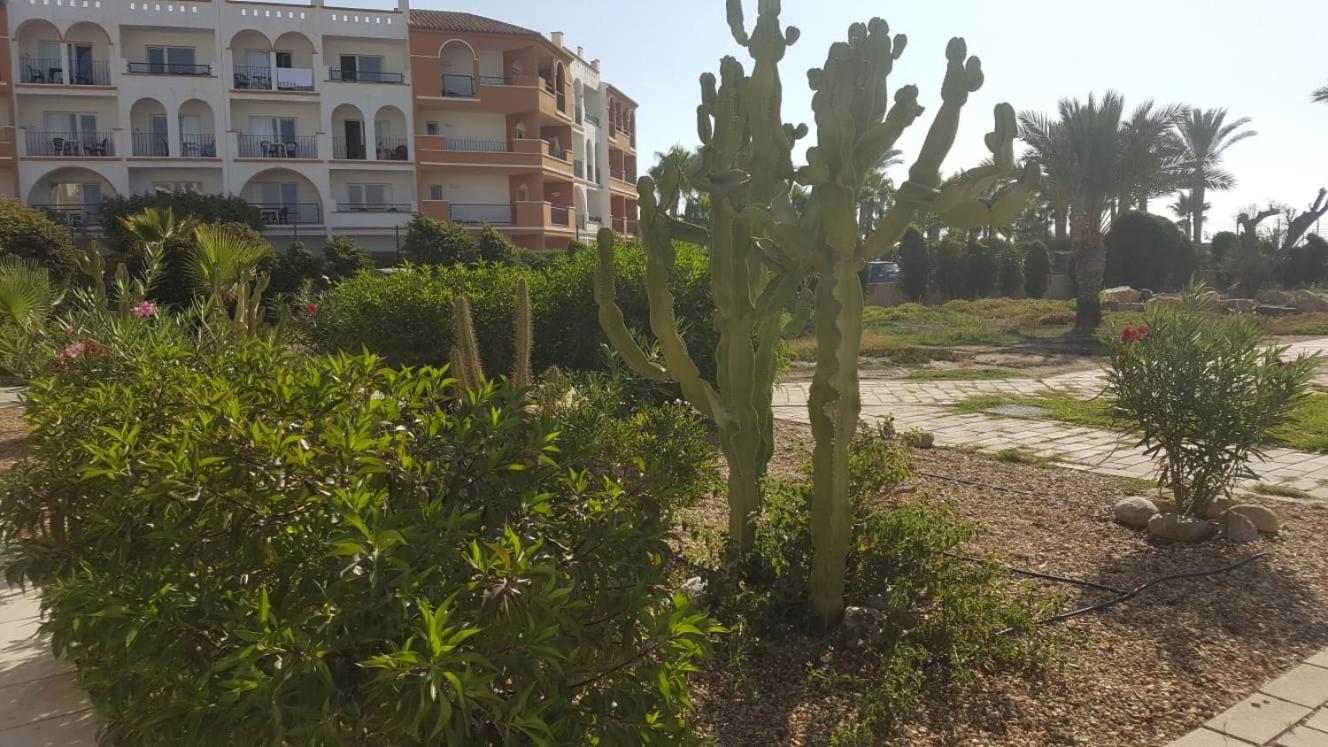Apartment zona Naturista view 3