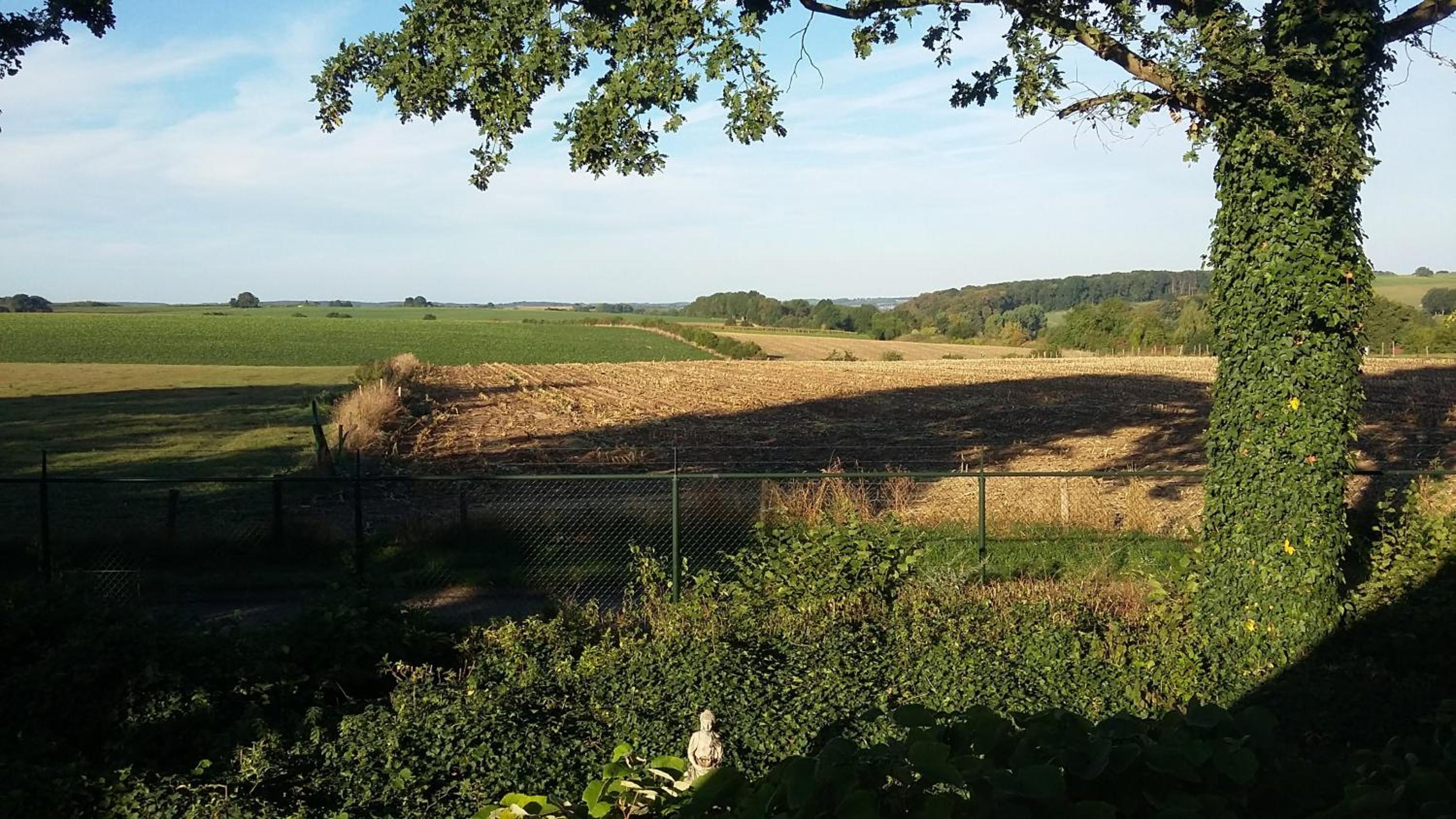 Julia's Holiday Home view 3