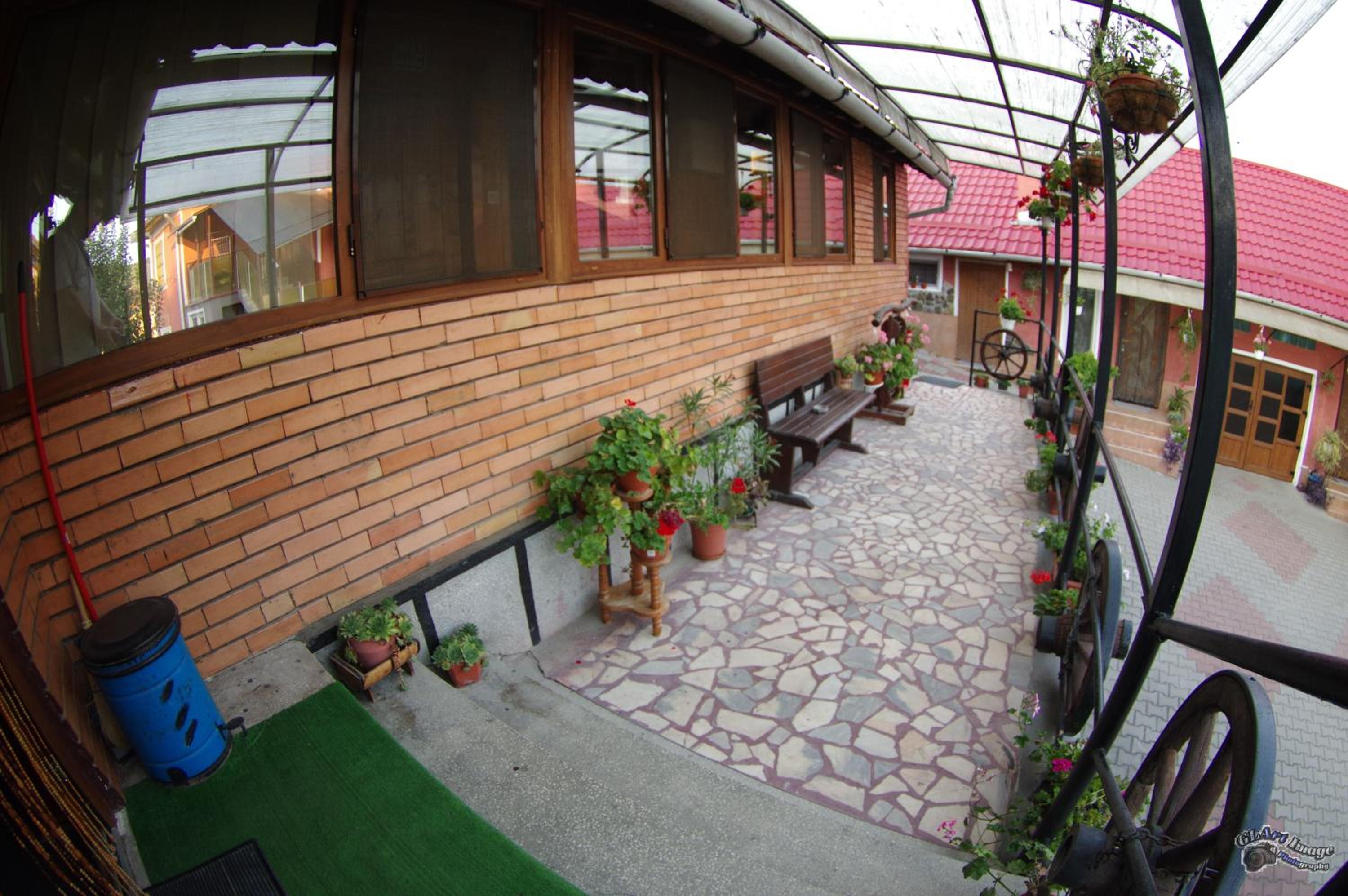 Photo 7