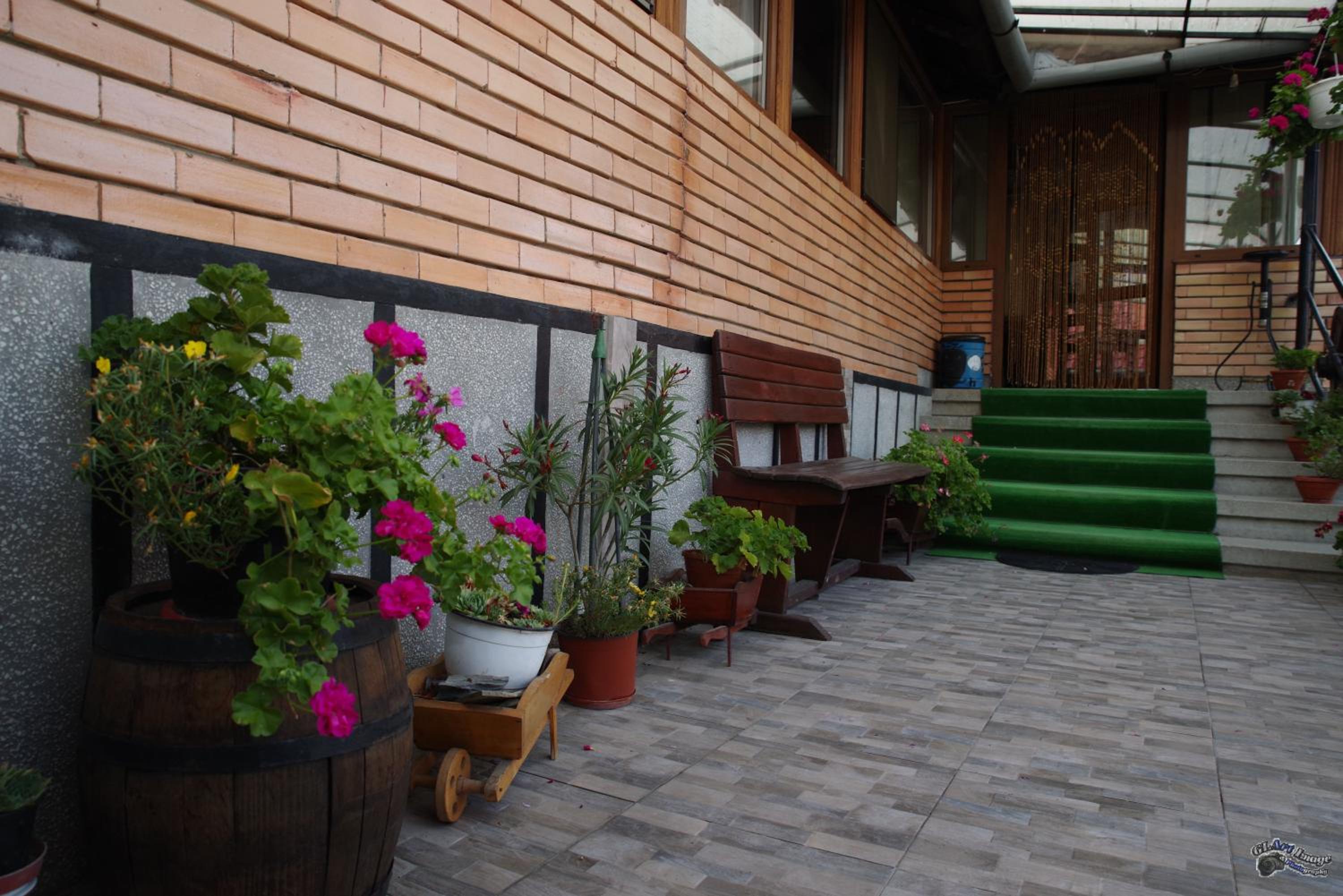 Photo 8