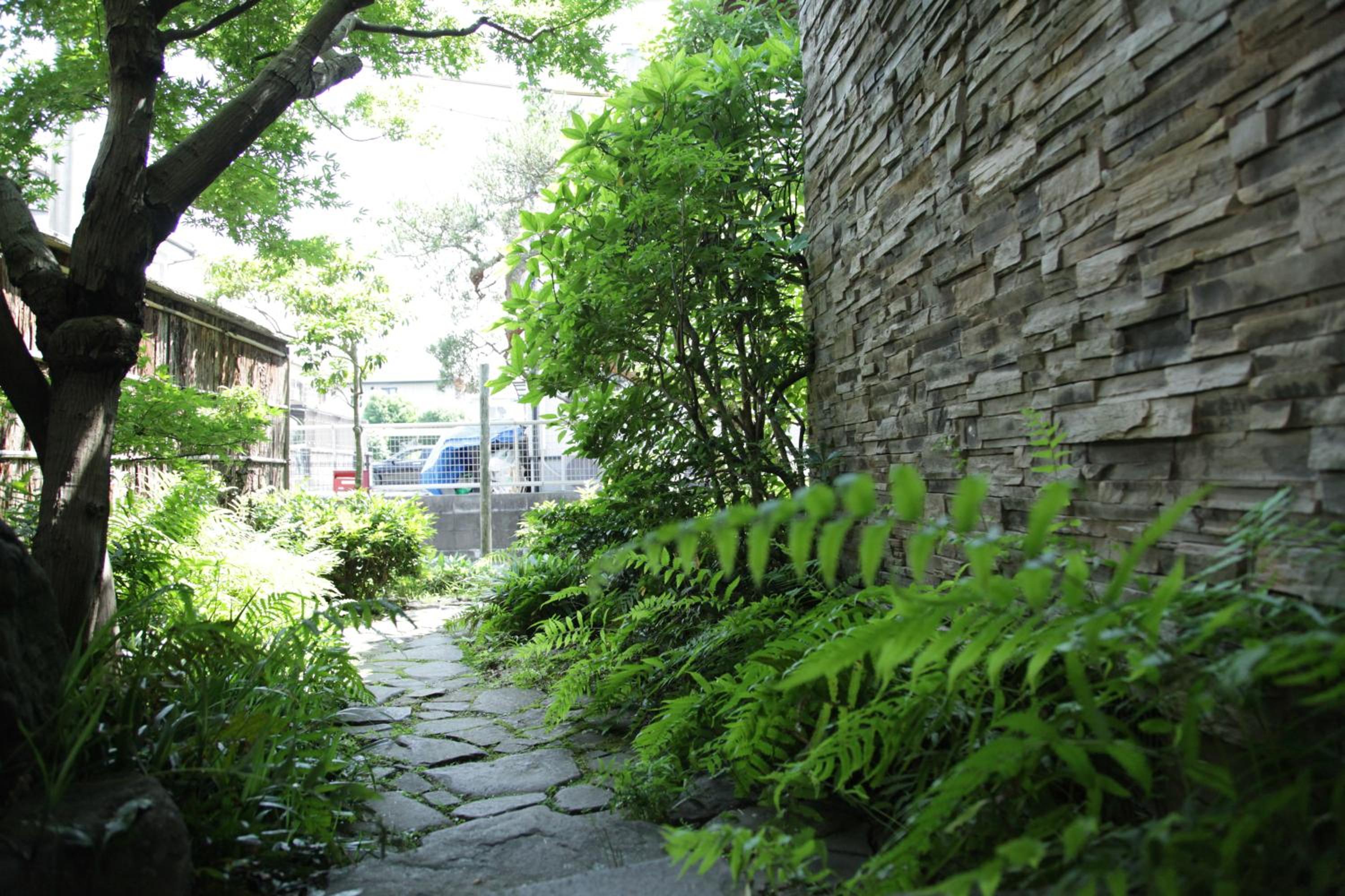 Photo 42