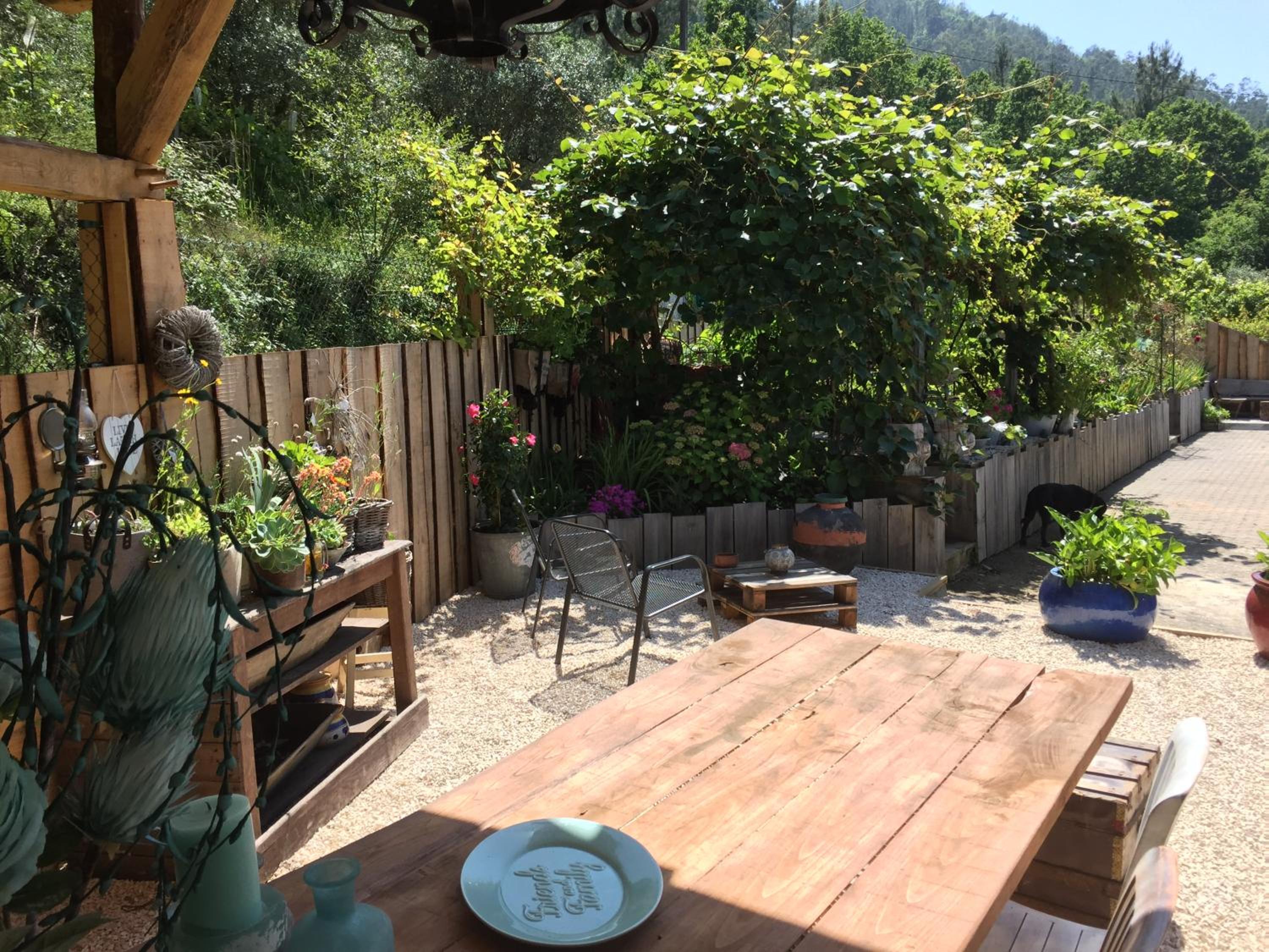 Casa Traca, photo 49