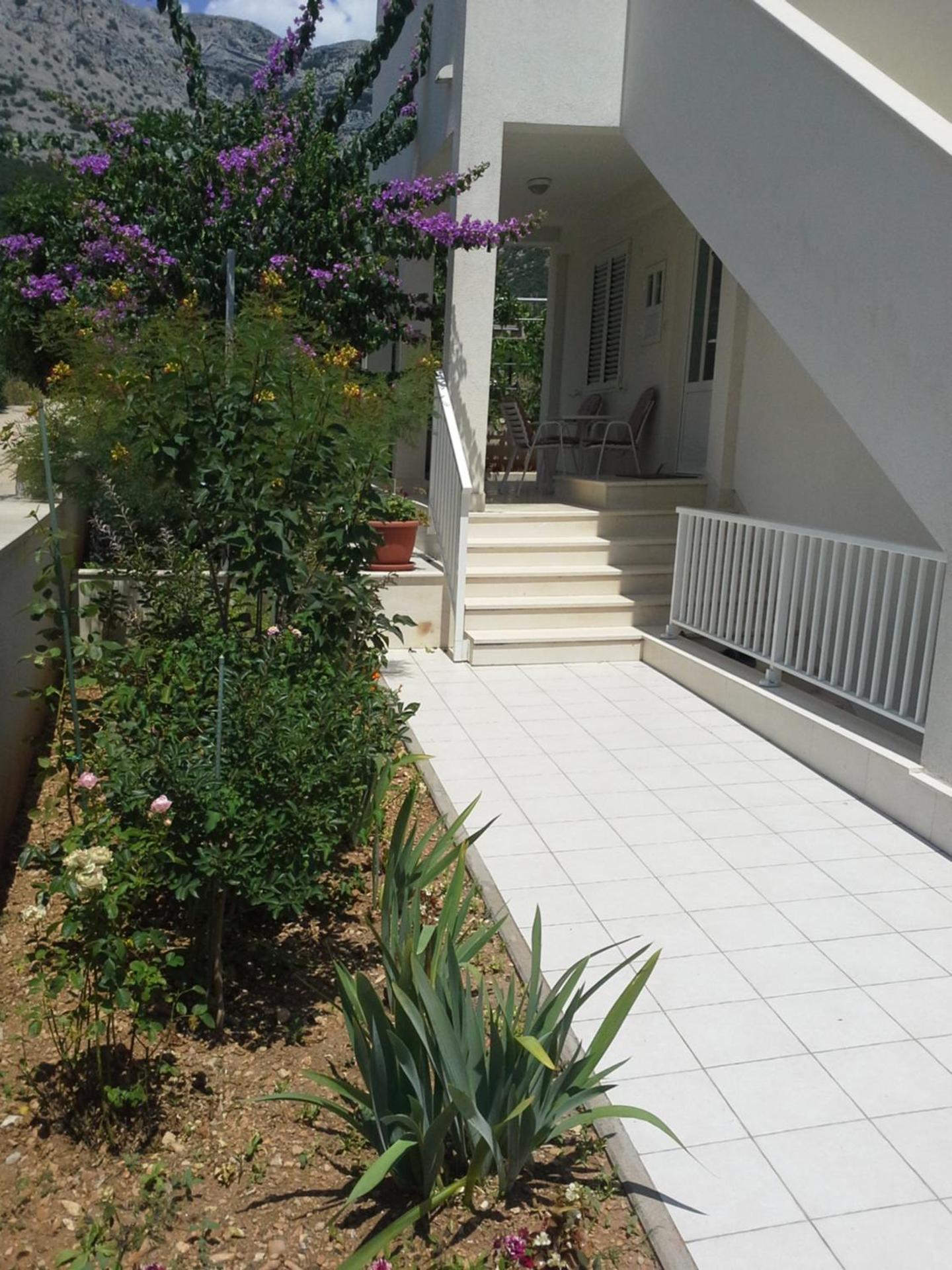 Sanja M 2 view 3