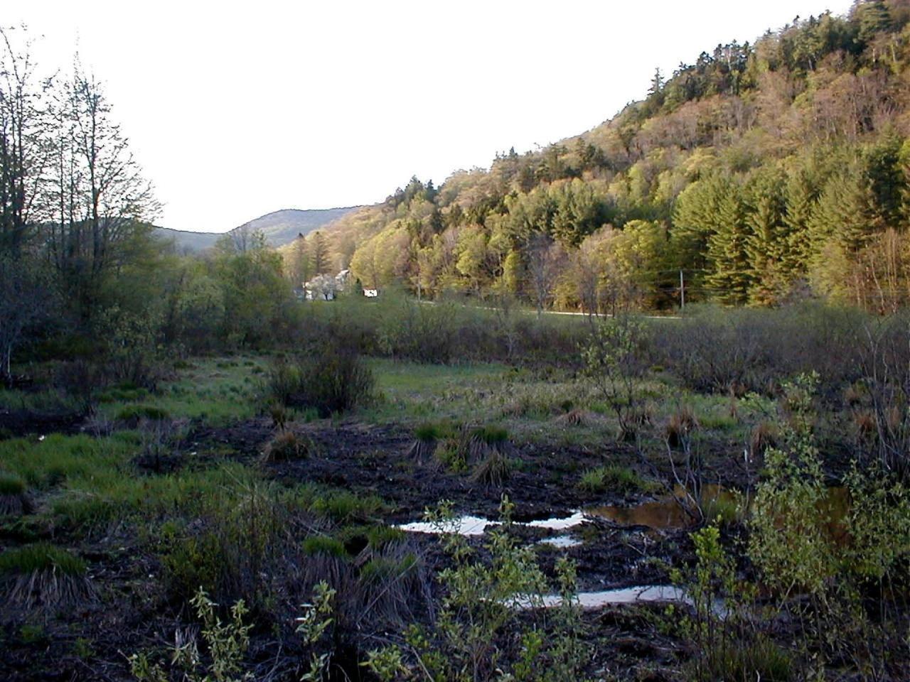 Mountain Valley Retreat