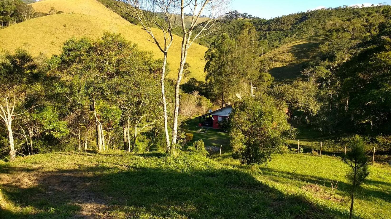 Photo 49