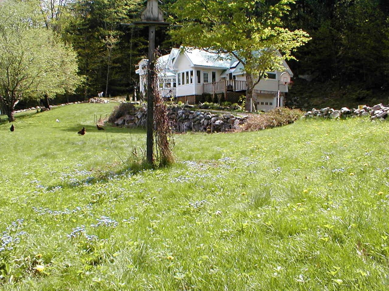 Mountain Valley Retreat